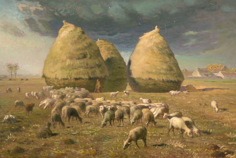 Going Where the Bluegrass Grows