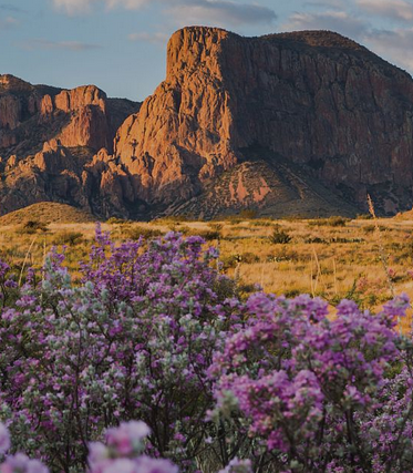 Screenshot 2026-02-11 093916.png