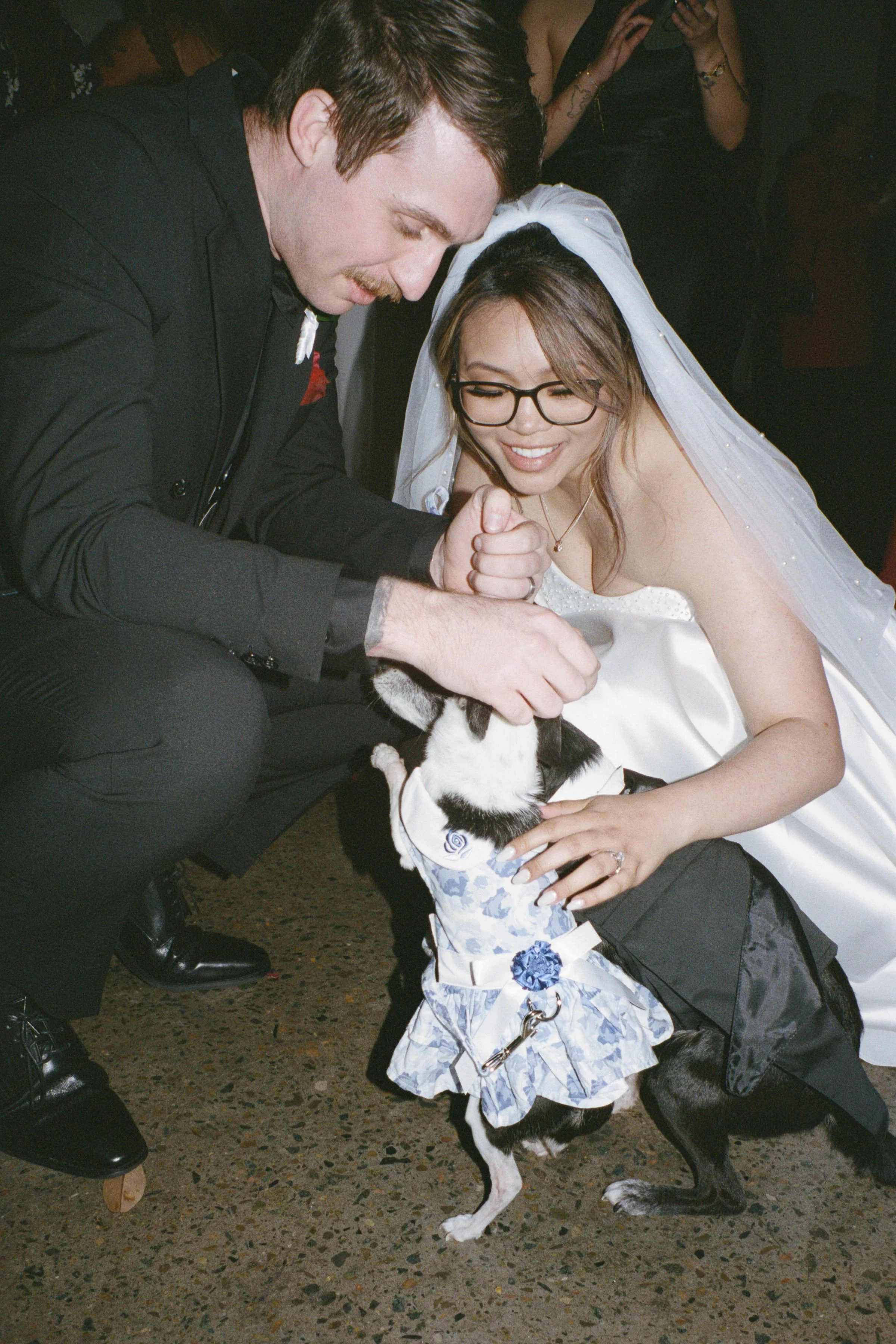 Ashley_Connor_Sydney_Film_Wedding_Photographer_BarefootandBearded-66.jpg