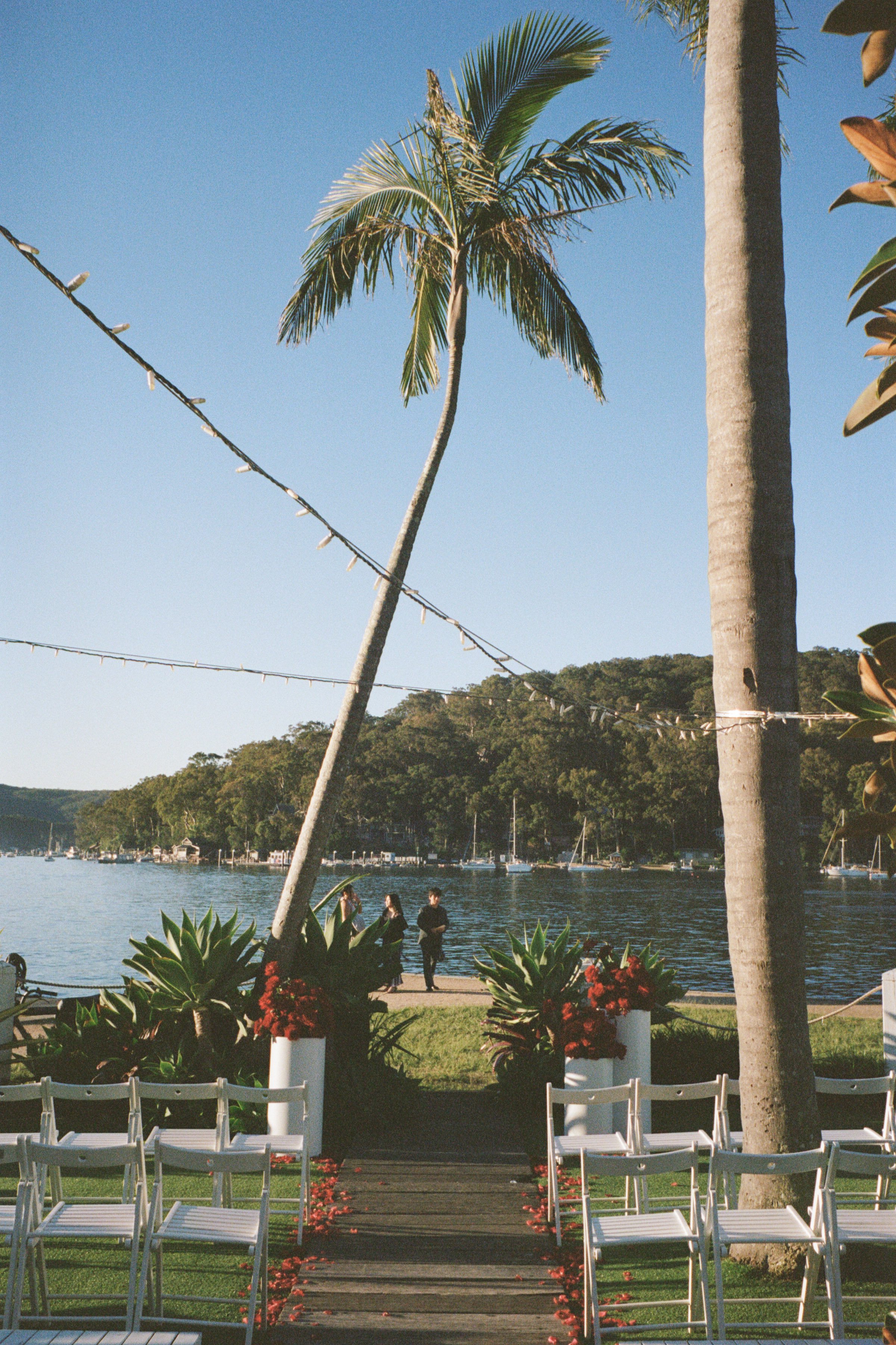 Ashley_Connor_Sydney_Film_Wedding_Photographer_BarefootandBearded-32.jpg
