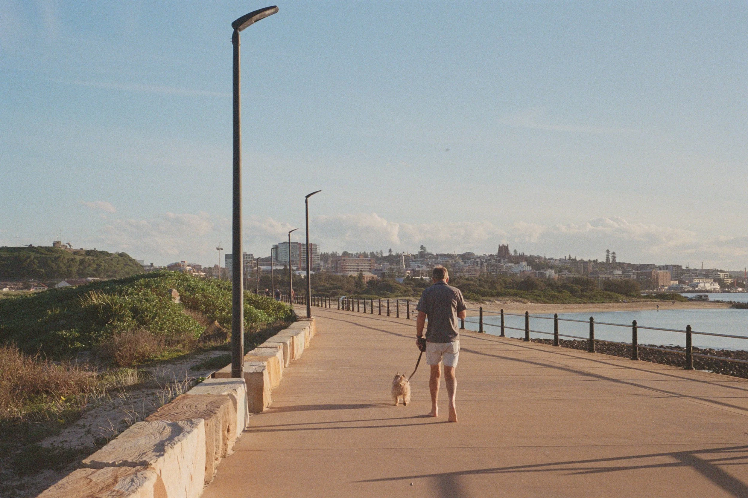 Sydney_FILM_Wedding_Photographer-135.jpg