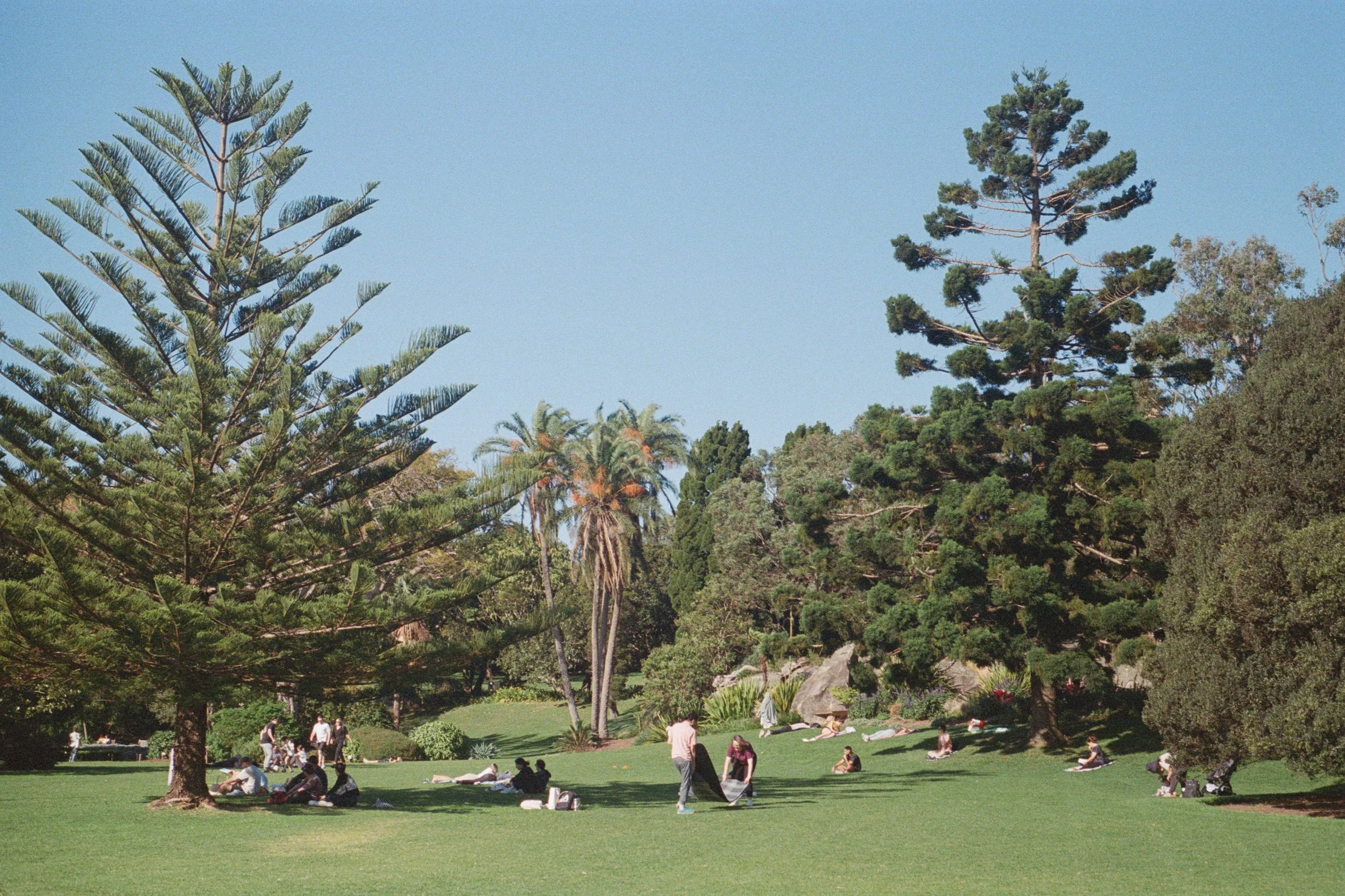 Sydney_FILM_Wedding_Photographer-148.jpg