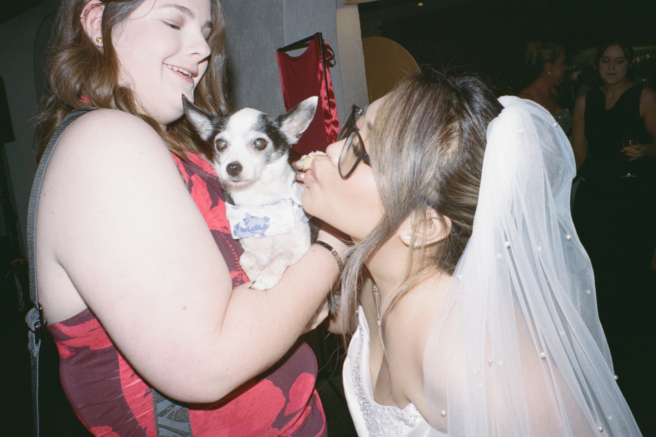 Ashley_Connor_Sydney_Film_Wedding_Photographer_BarefootandBearded-57.jpg
