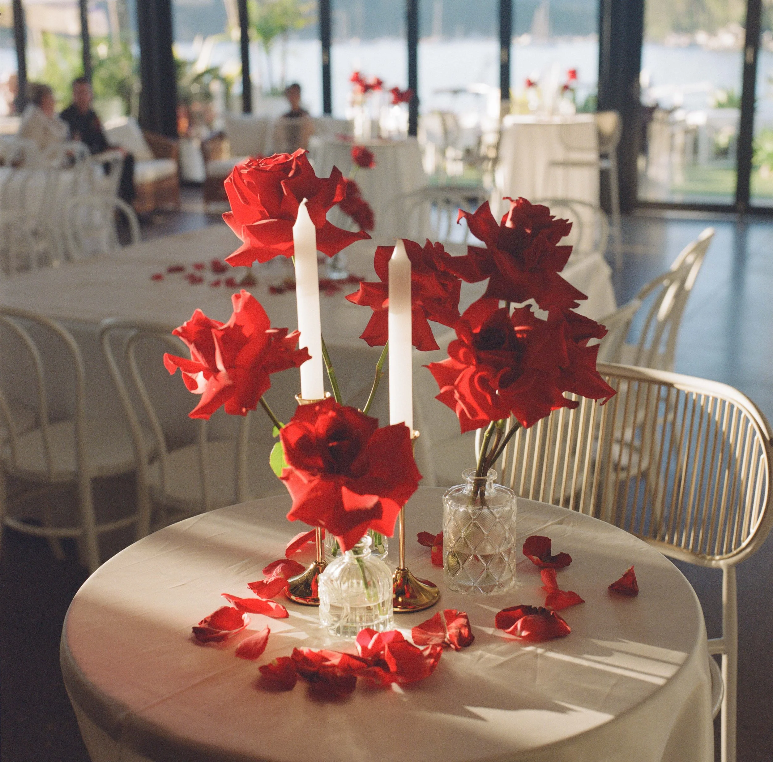 Ashley_Connor_Sydney_Film_Wedding_Photographer_BarefootandBearded-2.jpg