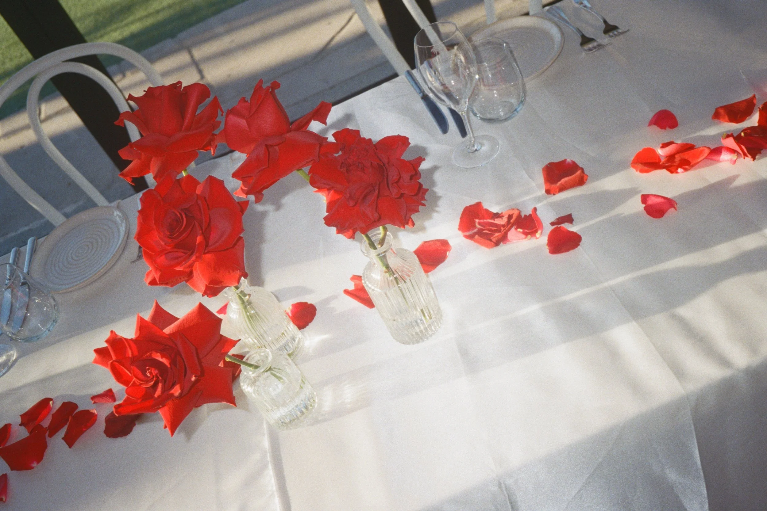 Ashley_Connor_Sydney_Film_Wedding_Photographer_BarefootandBearded-71.jpg