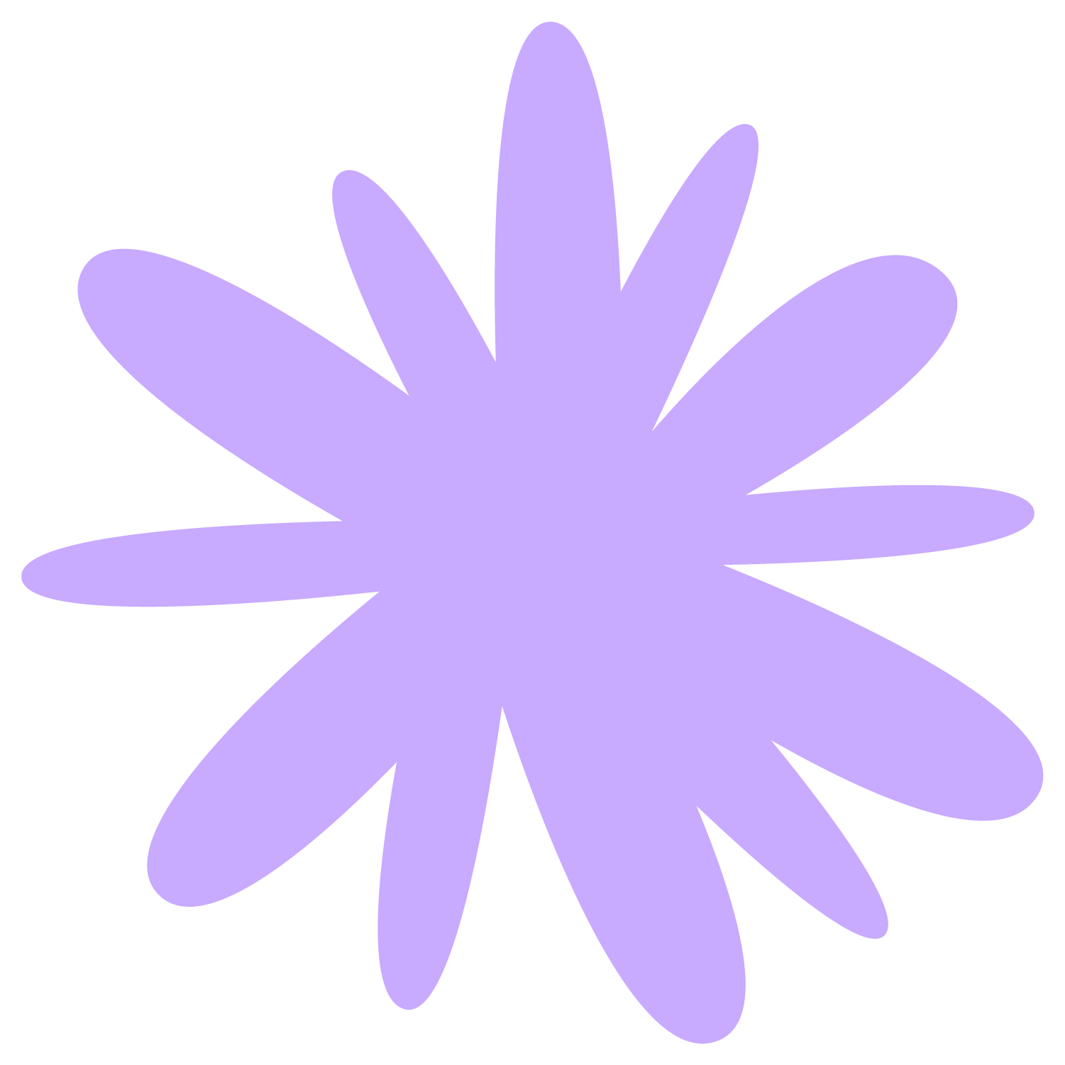 A purple flower with multiple elongated petals on a black background.