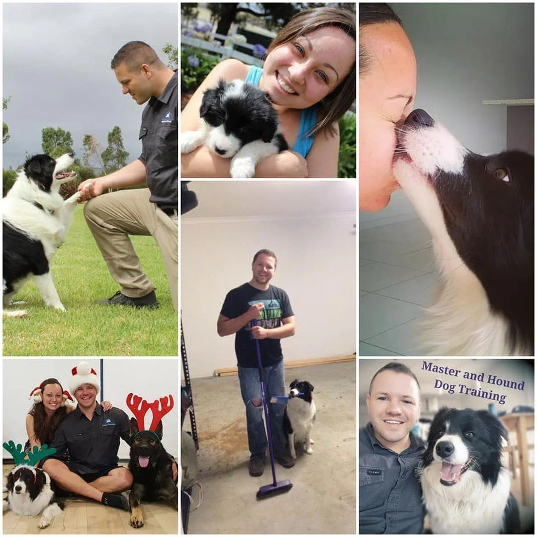 Nothing can explain the depth of our sadness today with the sudden loss of our beautiful Penny. She was so much more than just a dog, she was family and changed the course of our lives. We will be forever thankful for our time with her and all she ha