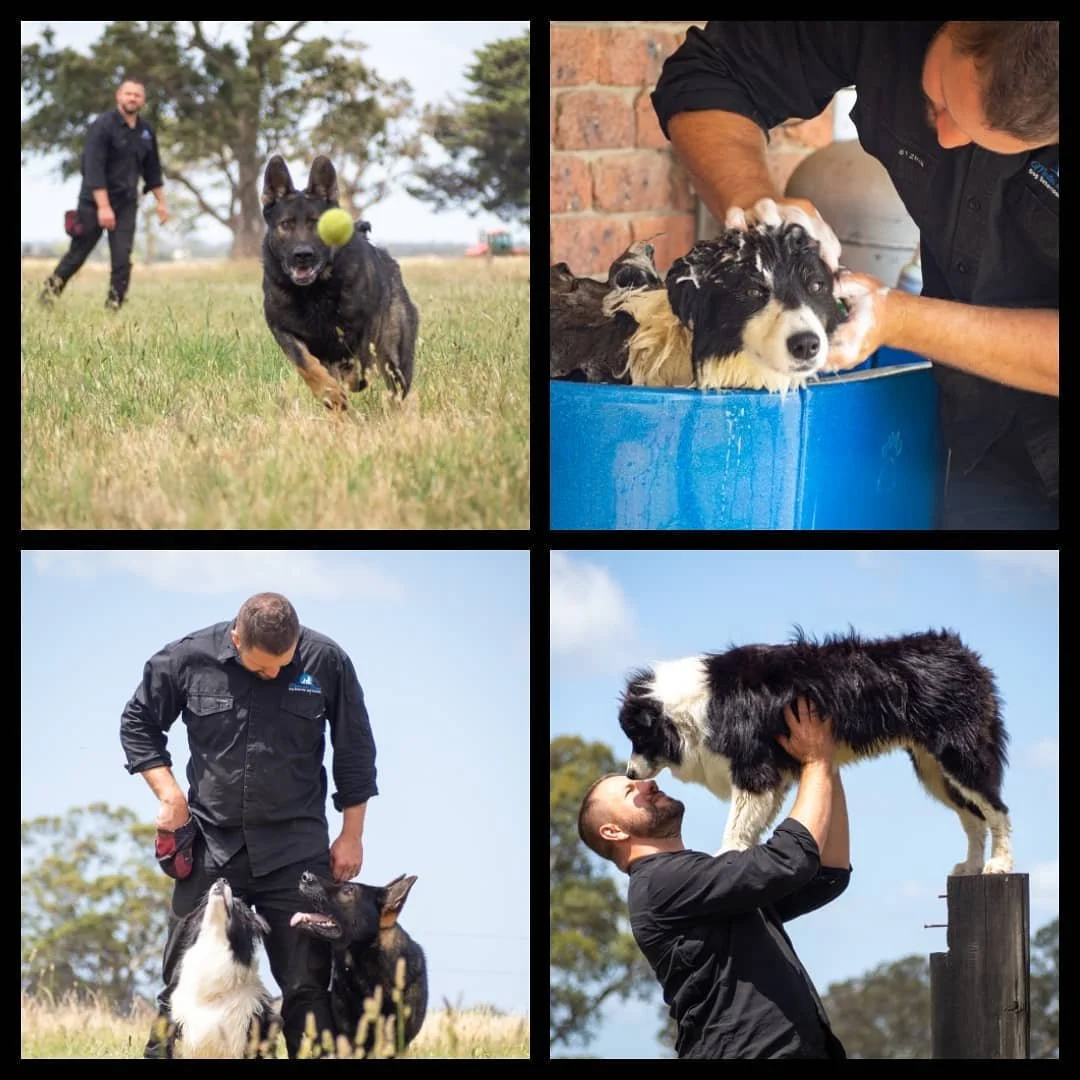 Build trust through training... they will thank you for it.