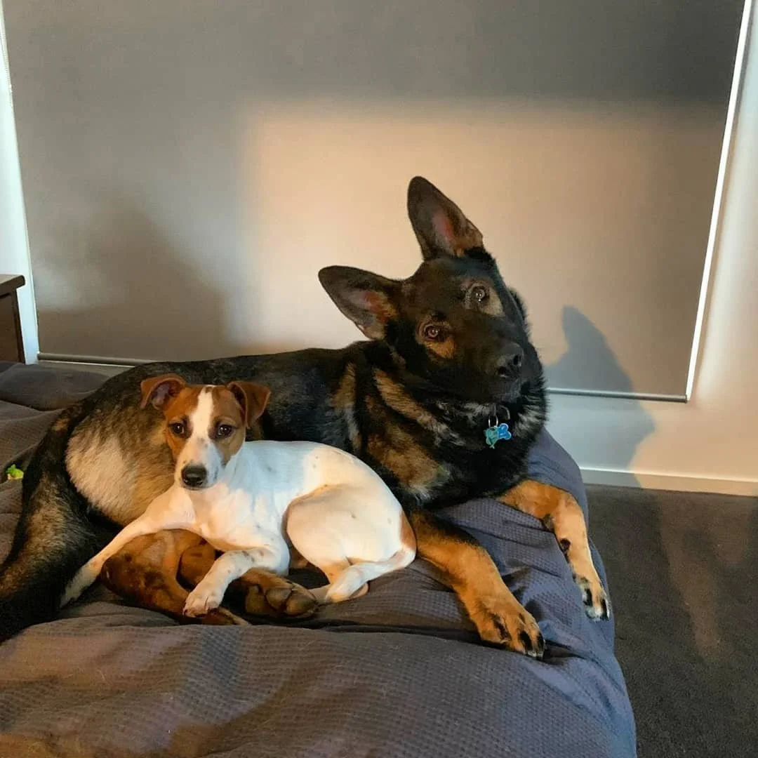 Best friends!