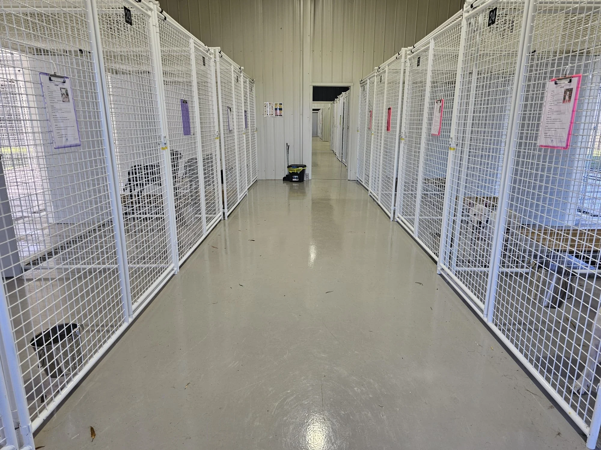 kennel.pic9.jpeg