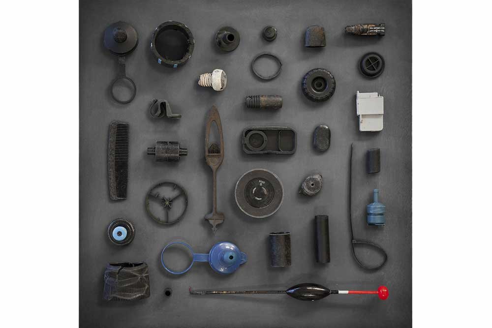 Coast Harden Brittle Star 2013, archival photograph, 50 x 50 cm