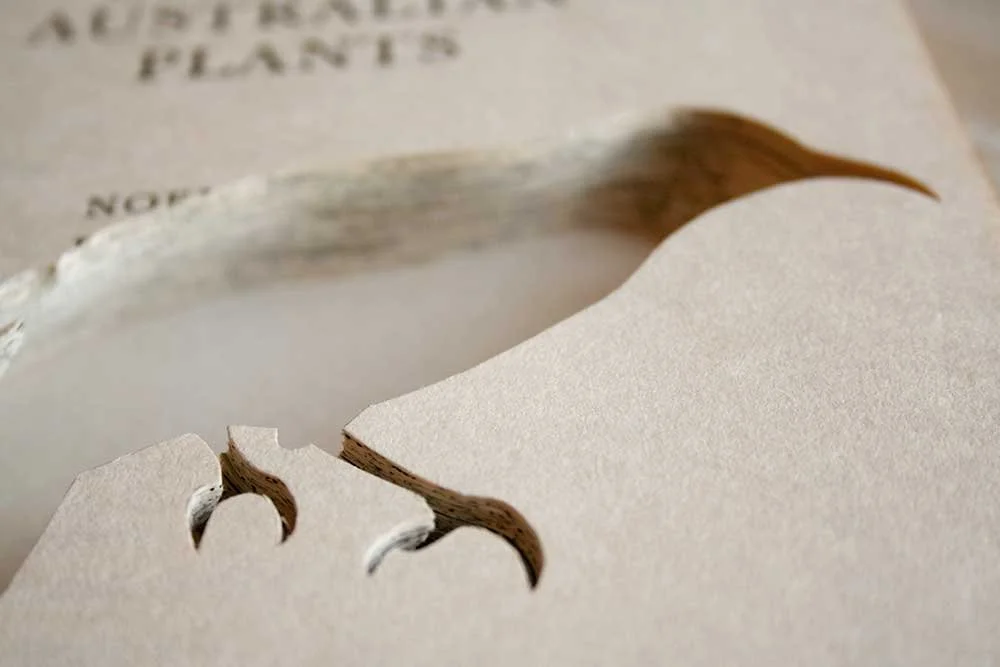 Growing Australian Plants/Regent Honeyeater (detail), hand-carved book, 25 x 20 cm 
