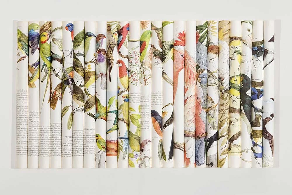 Cacophony, Rip Rack Roar Rumble 2008, rolled paper book pages, 80 X 56 cm