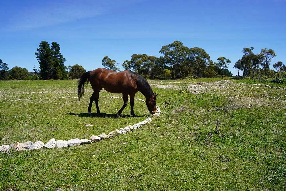 Dusty nudging the edge, 6 November 2025