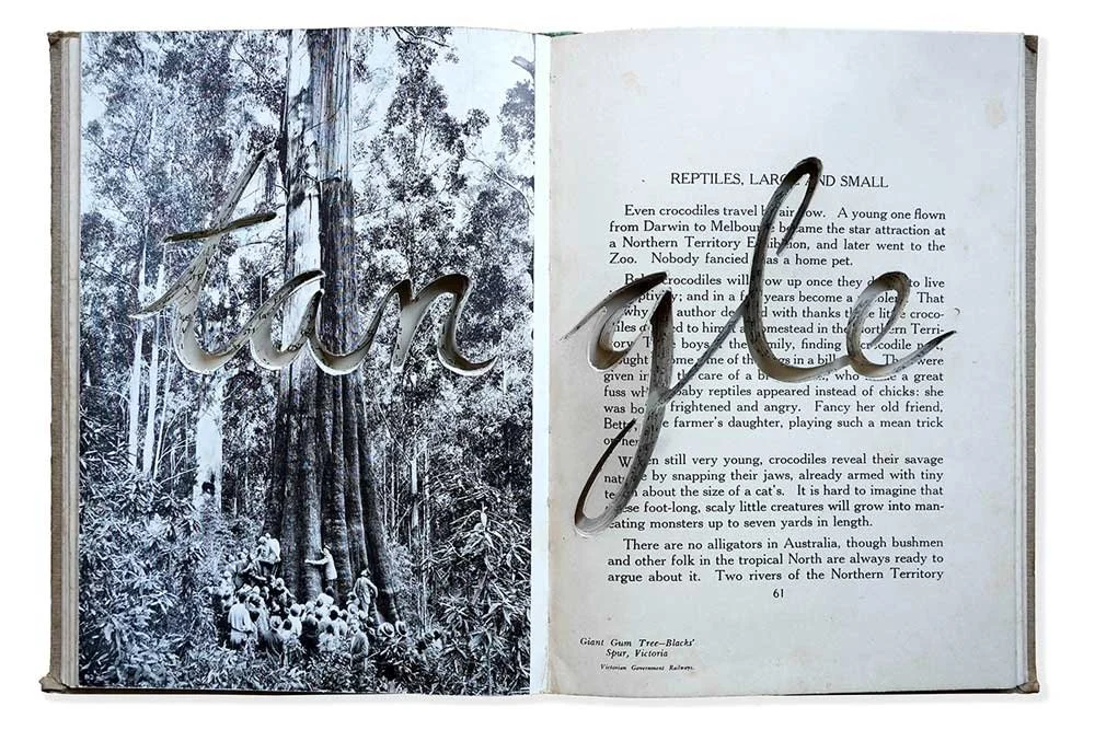 Tangle 2022, hand-carved book, 25 x 38 cm