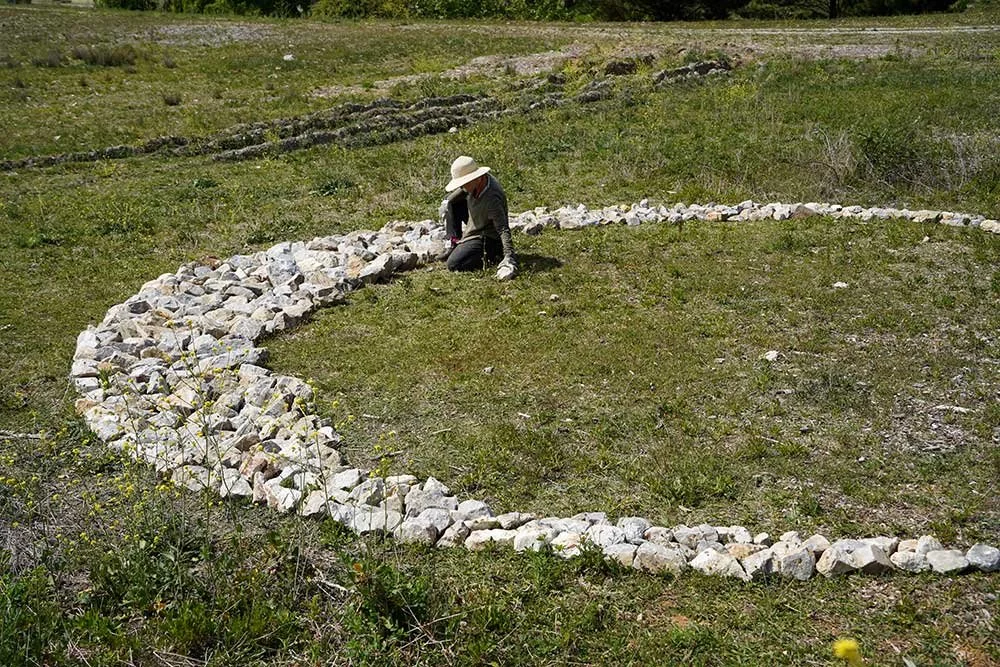 Annemaree Dalziel, 15 November 2025