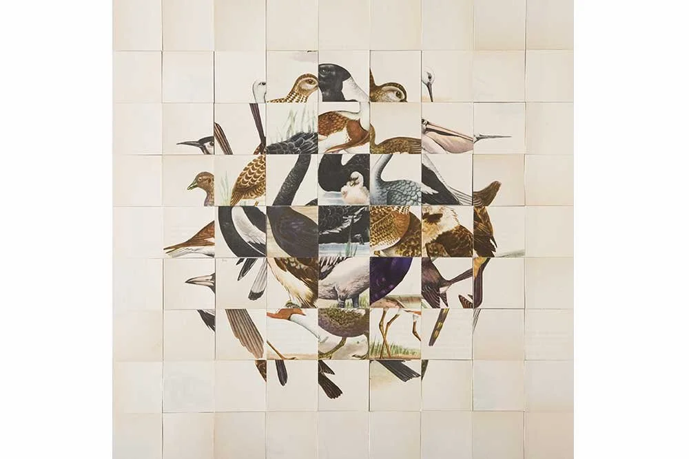 On Brown 2009, paper, 61.5 x 62.5 cm