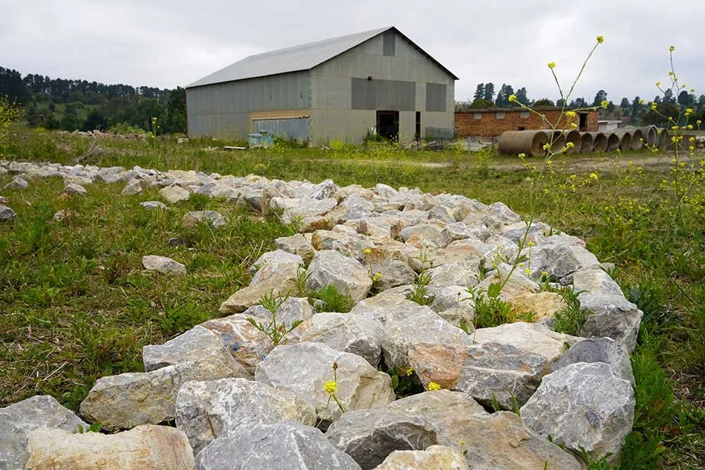 Portland Pooling Moon, 2025 (detail), limestone hands hooves time place, 8 metres diameter