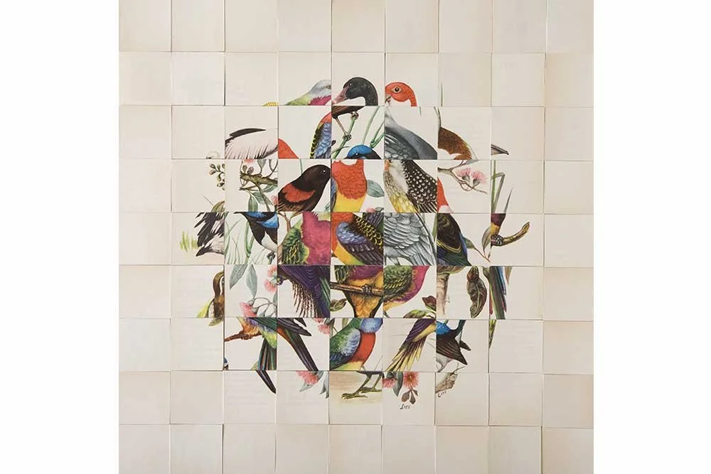 On Red 2009, paper, 61.5 x 62.5 cm