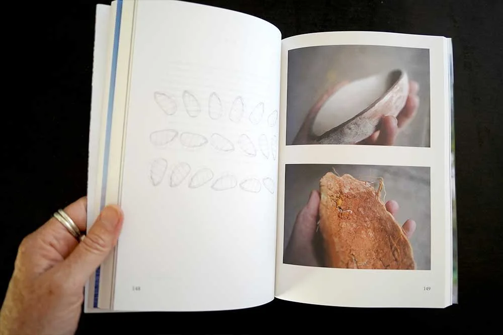 Open book with sketches of butterfly wing patterns on left page and photographs of a butterfly wing and a butterfly wing sample on right page.