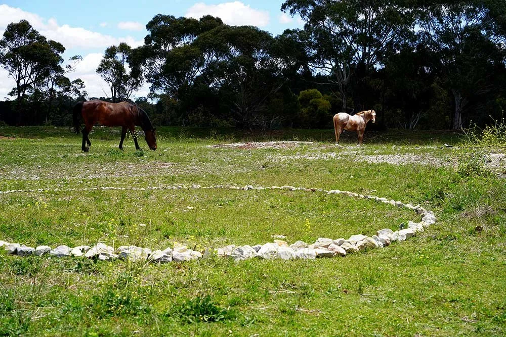 Dusty, Evie and Portland Pooling Moon, 10 November 2025