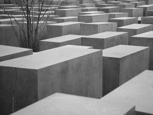 Professional Pathway