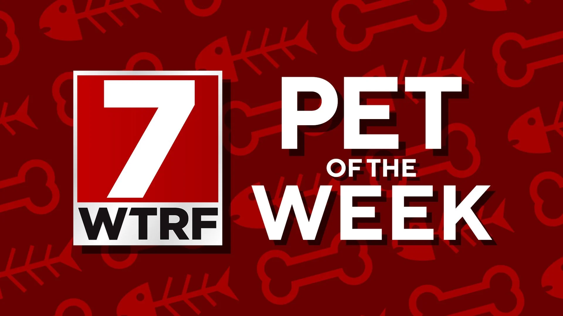 Pet of the Week Screenshot.jpg