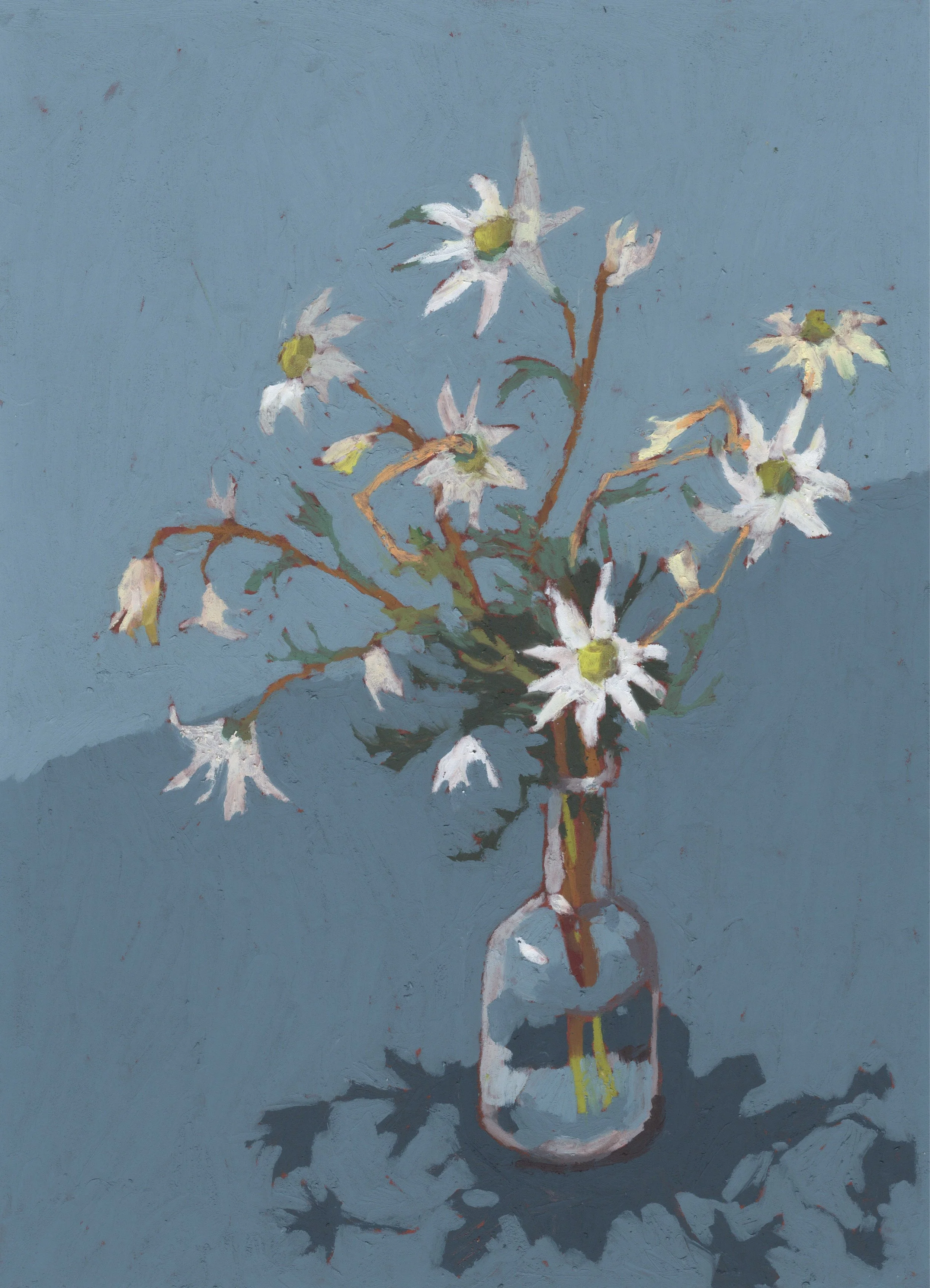 Flannel flowers Feb print JPEG for colour corrrecting_001.jpeg