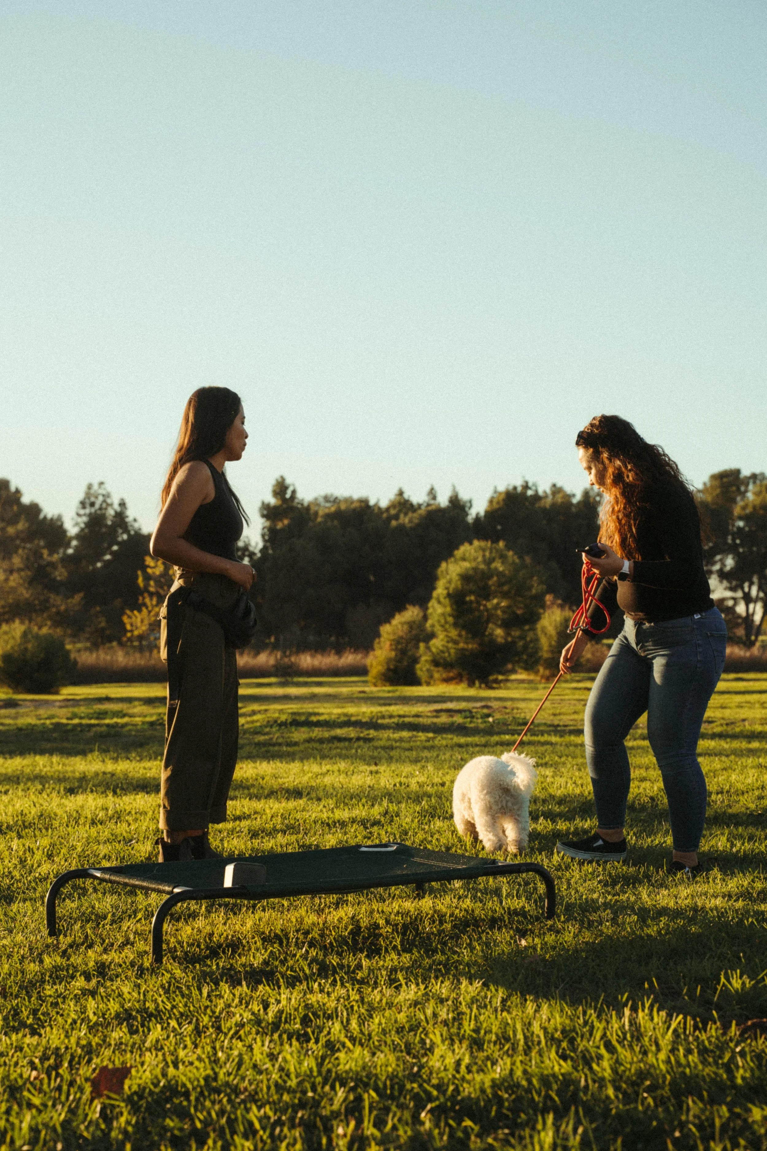 A German Shepherd dog sitting on a grassy field, looking up with an open mouth, under a partly cloudy sky.