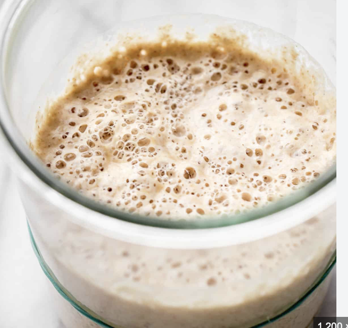 Sourdough Starter