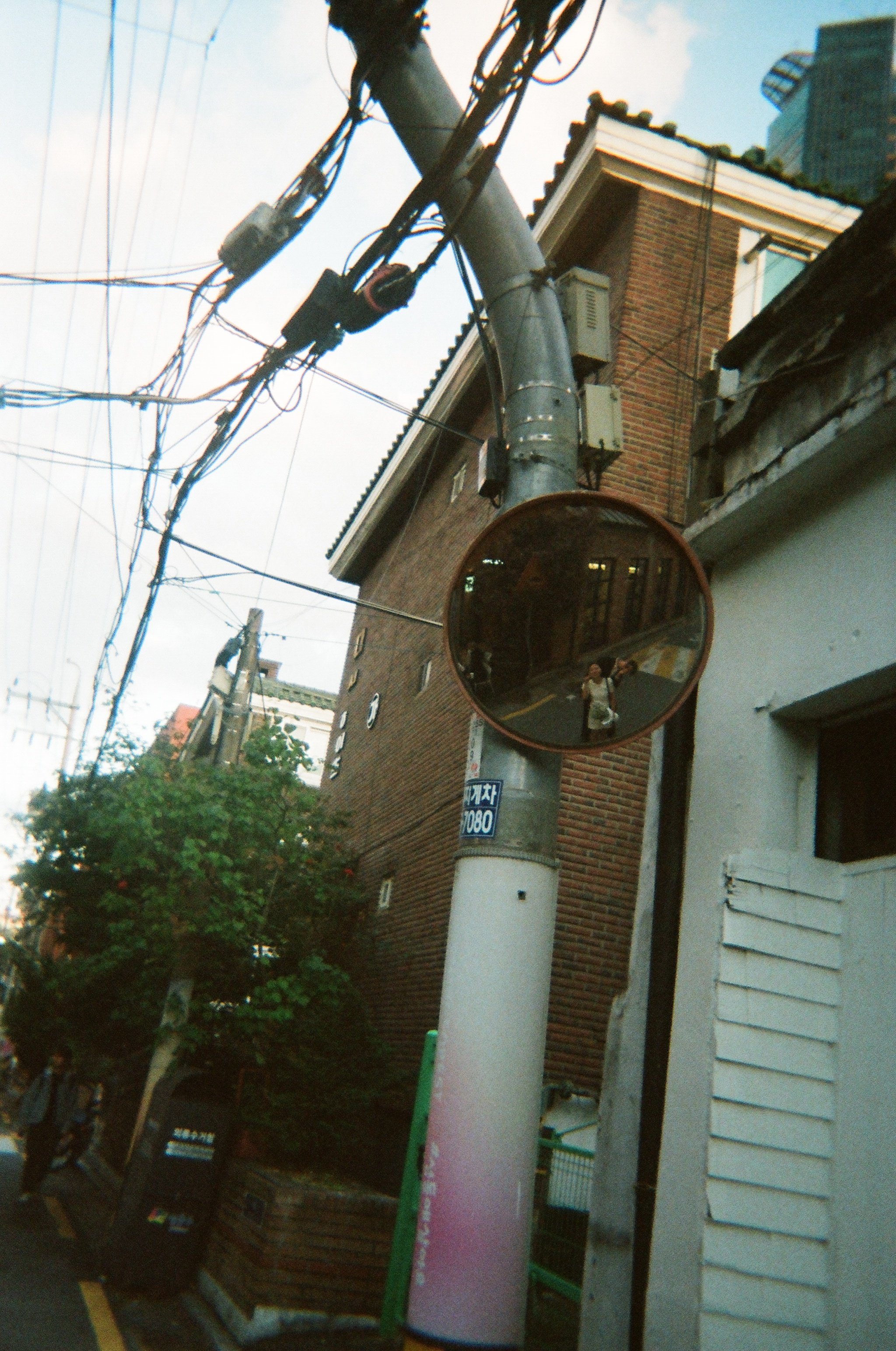 61770012.JPG