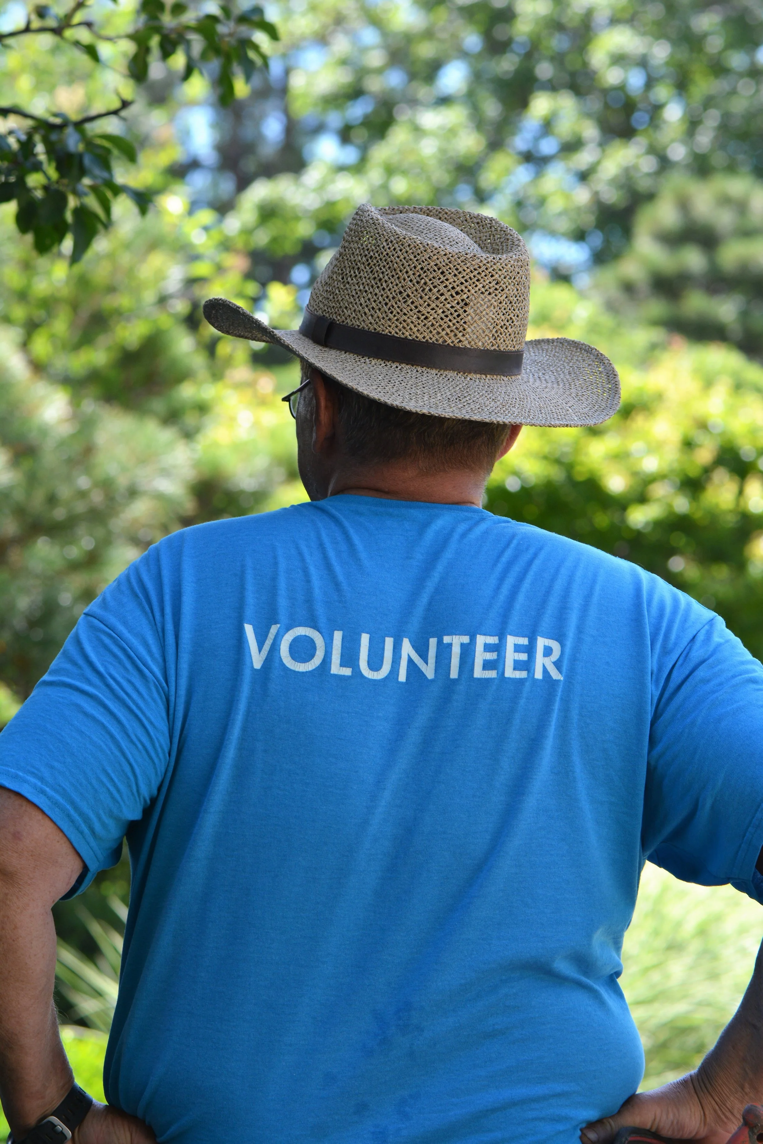 Back view of a person wearing a blue t-shirt with white text that says 'VOLUNTEER' and a straw hat, standing outdoors surrounded by green trees.