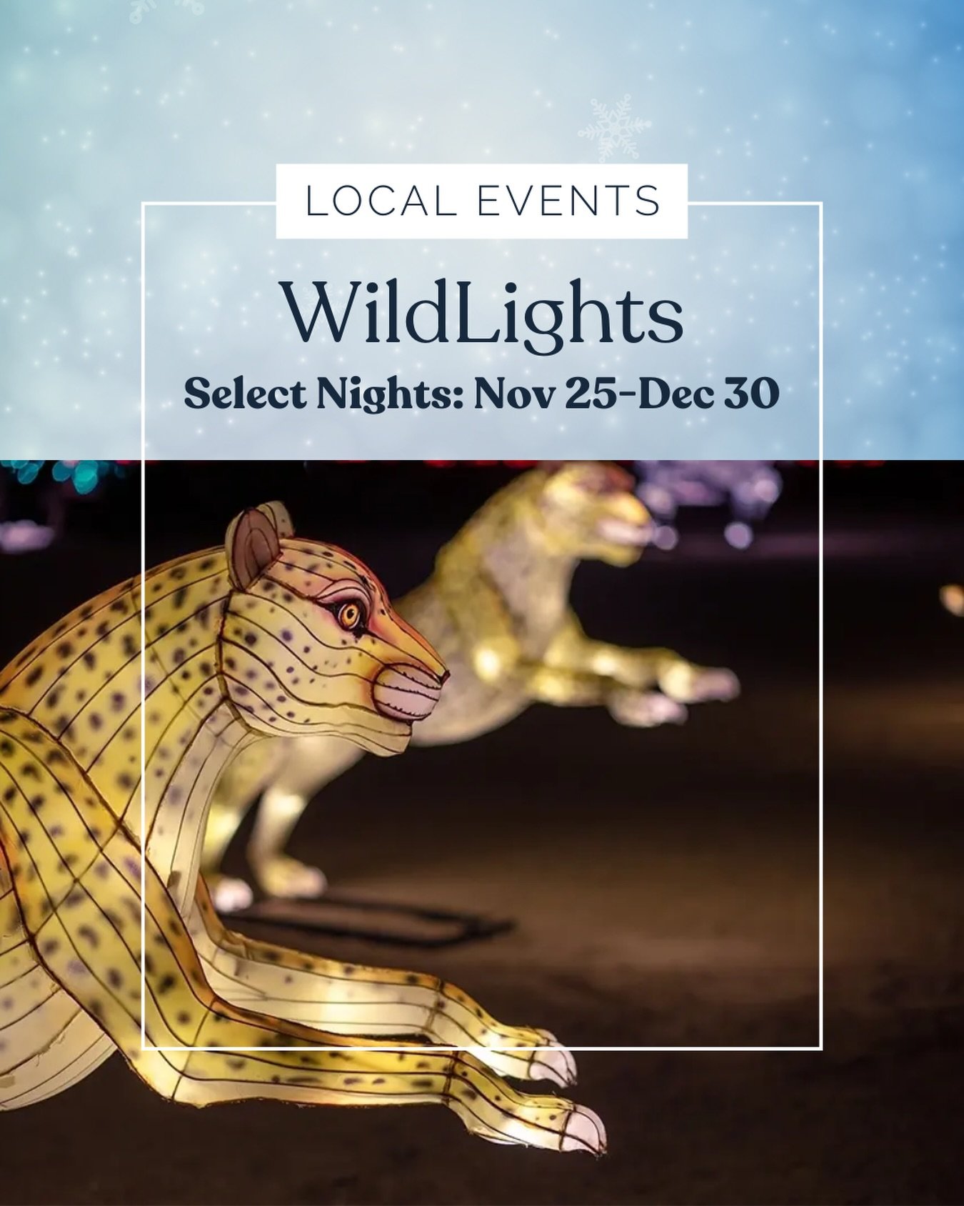 On the ninth day of Christmas, my escrow brought to me&hellip;three million lights twinkling across @TheLivingDesert at WildLights!

Looking for a little holiday magic? Take a sparkling stroll through the safari section of the zoo, enjoy several fest