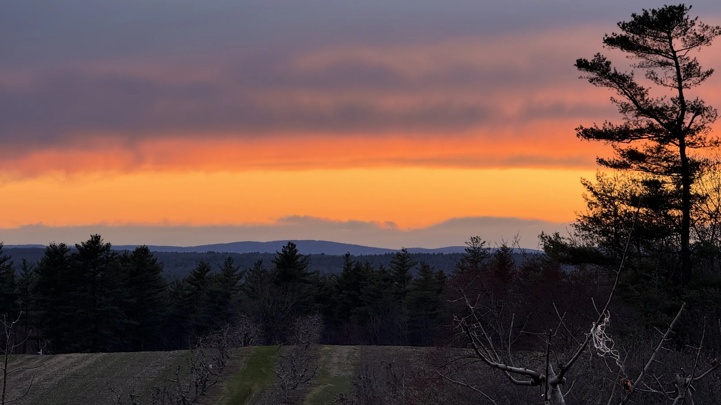 I’m Not That Girl - Learning What Love Means to Me