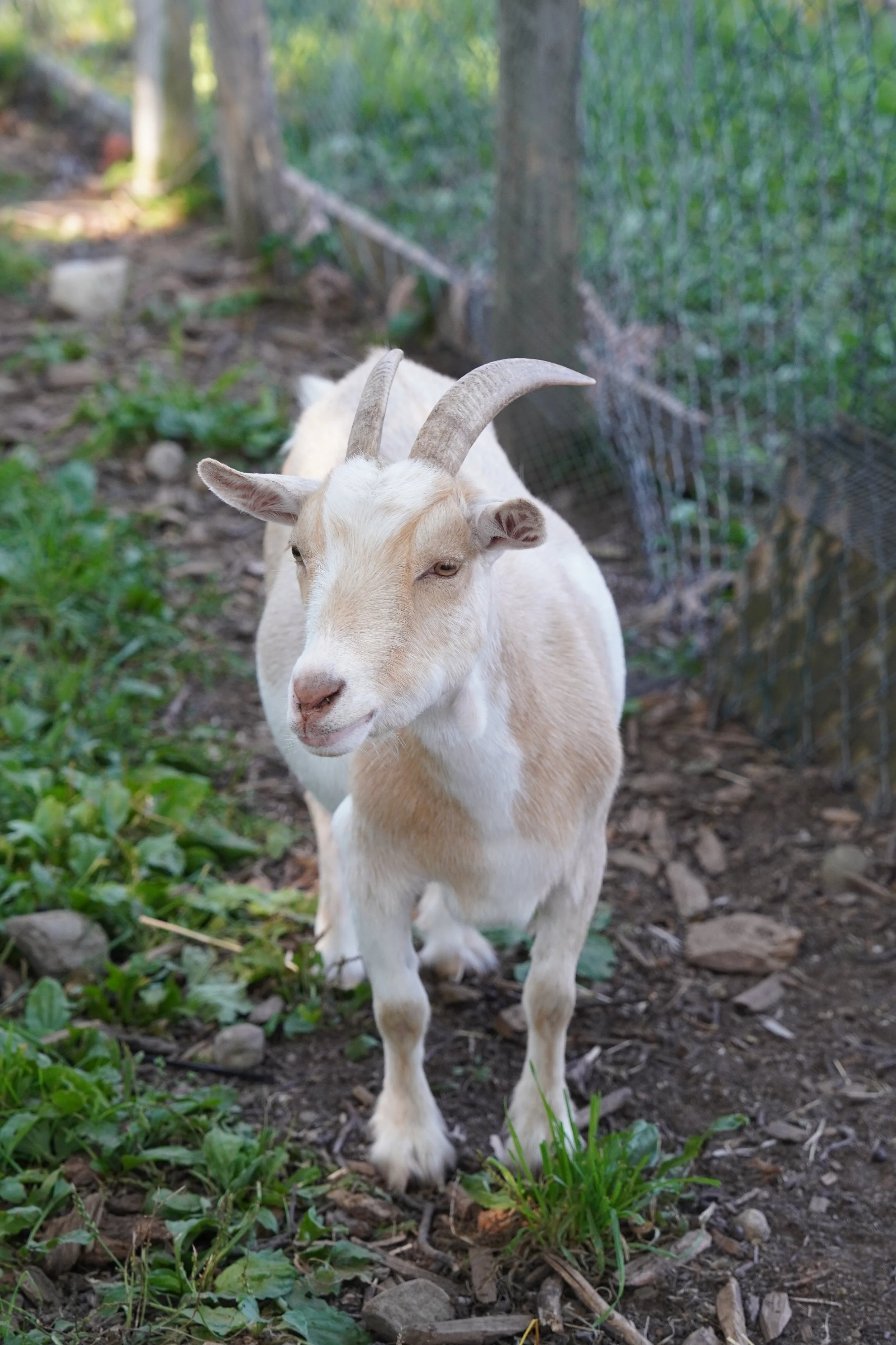 DSC01785.JPG