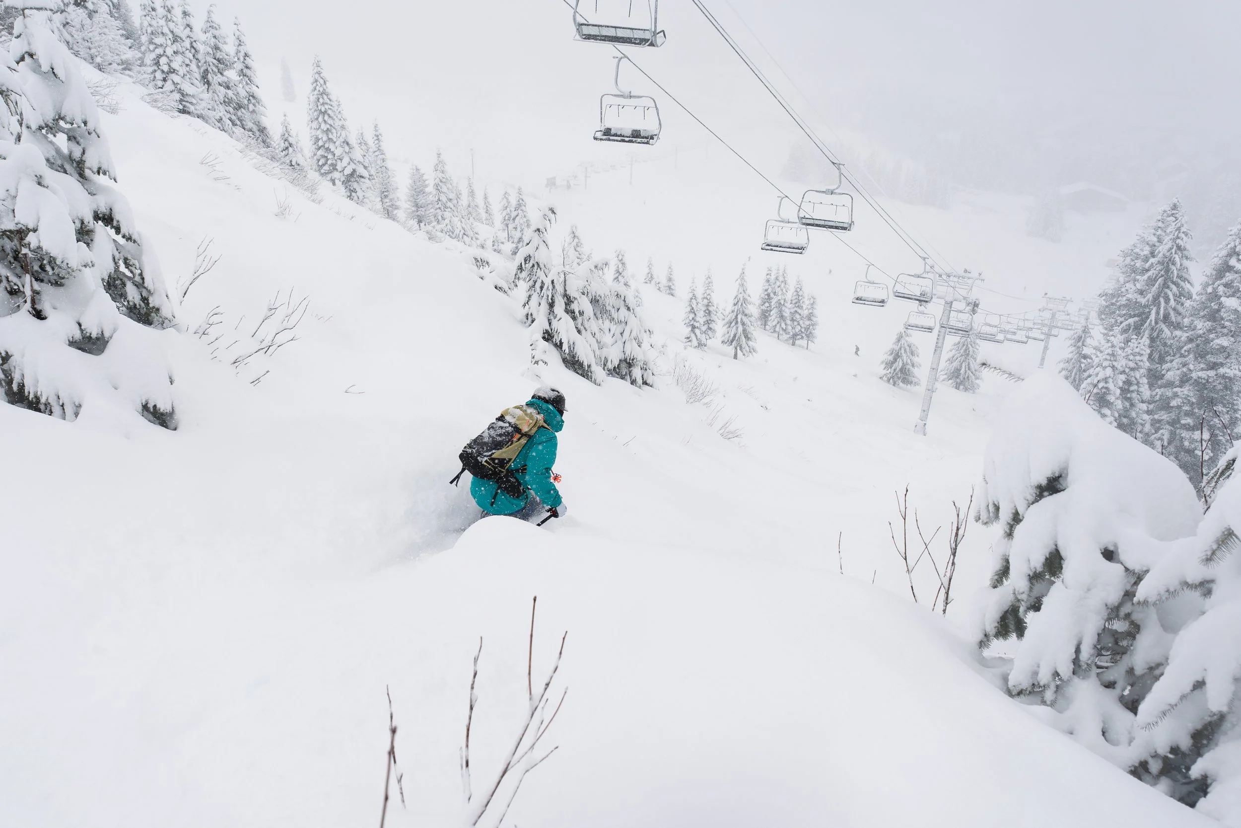 260311-Wildside Powder-21.jpg