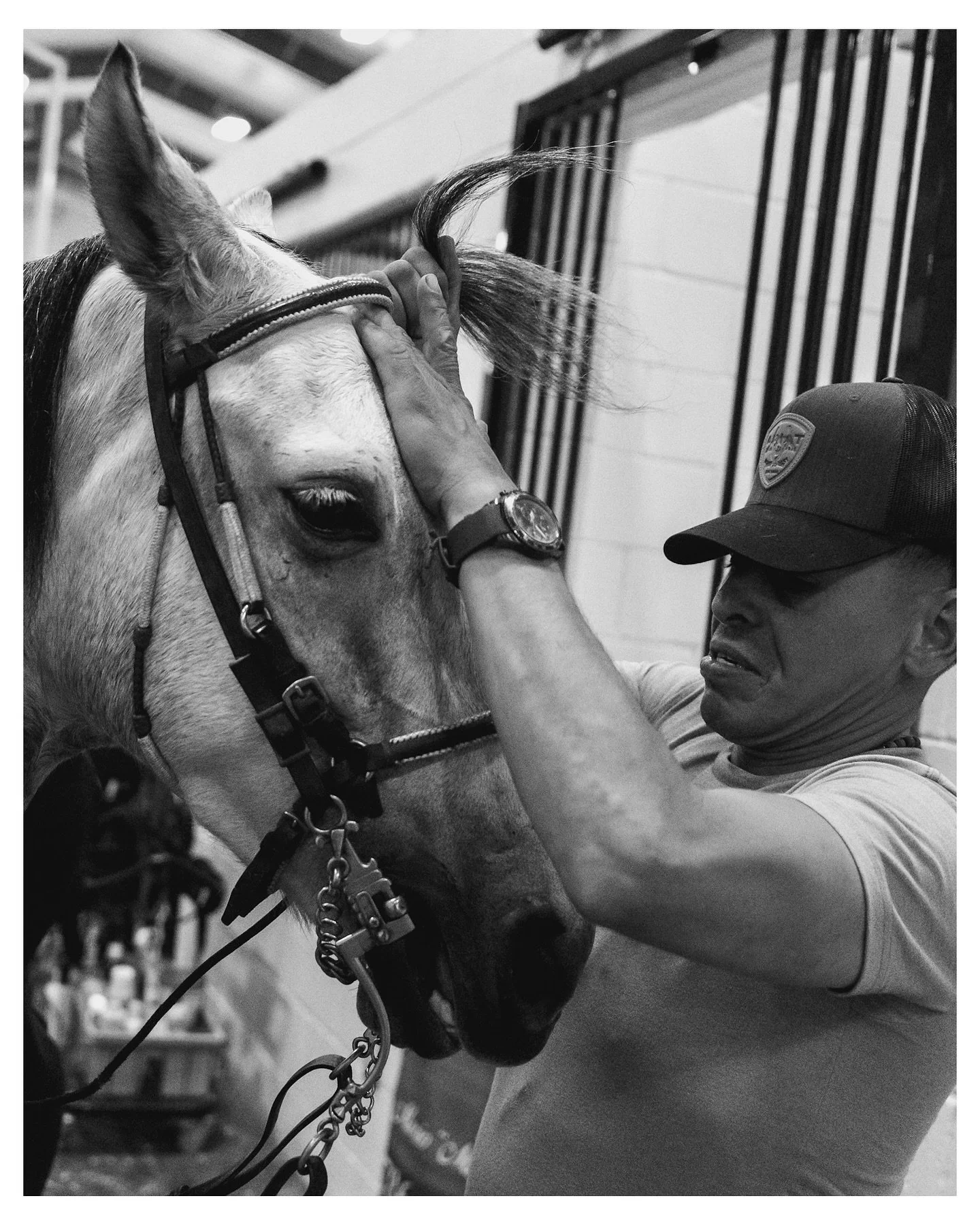 &ldquo;The WEC&rdquo;. 
- Paso Fino Event @ world equestrian center.
.
.
.
.
.
#photographer #street #photography #streetphotography #art #bnw