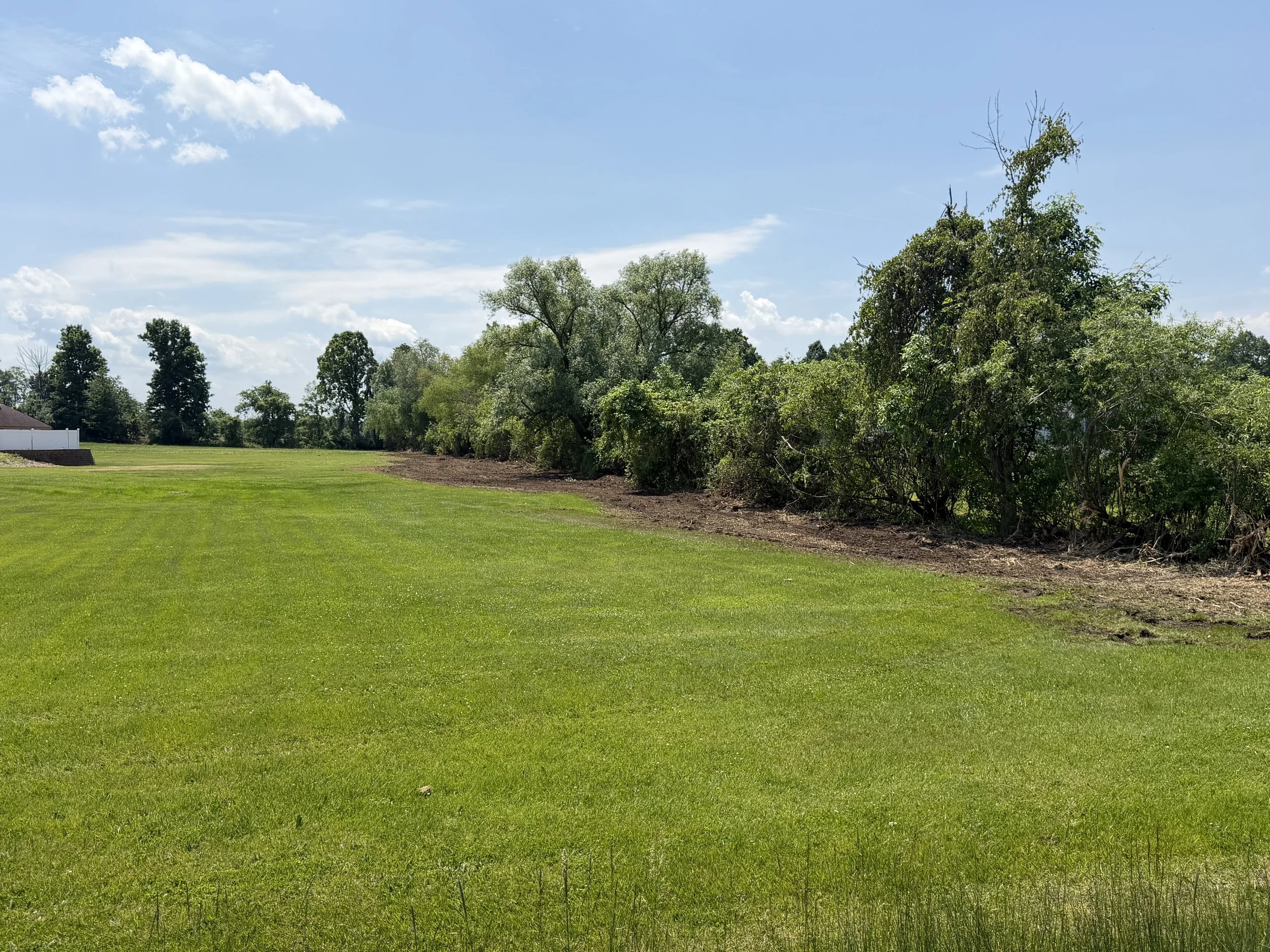 Open grassy field with a line of trees in the background under a partly cloudy blue sky.