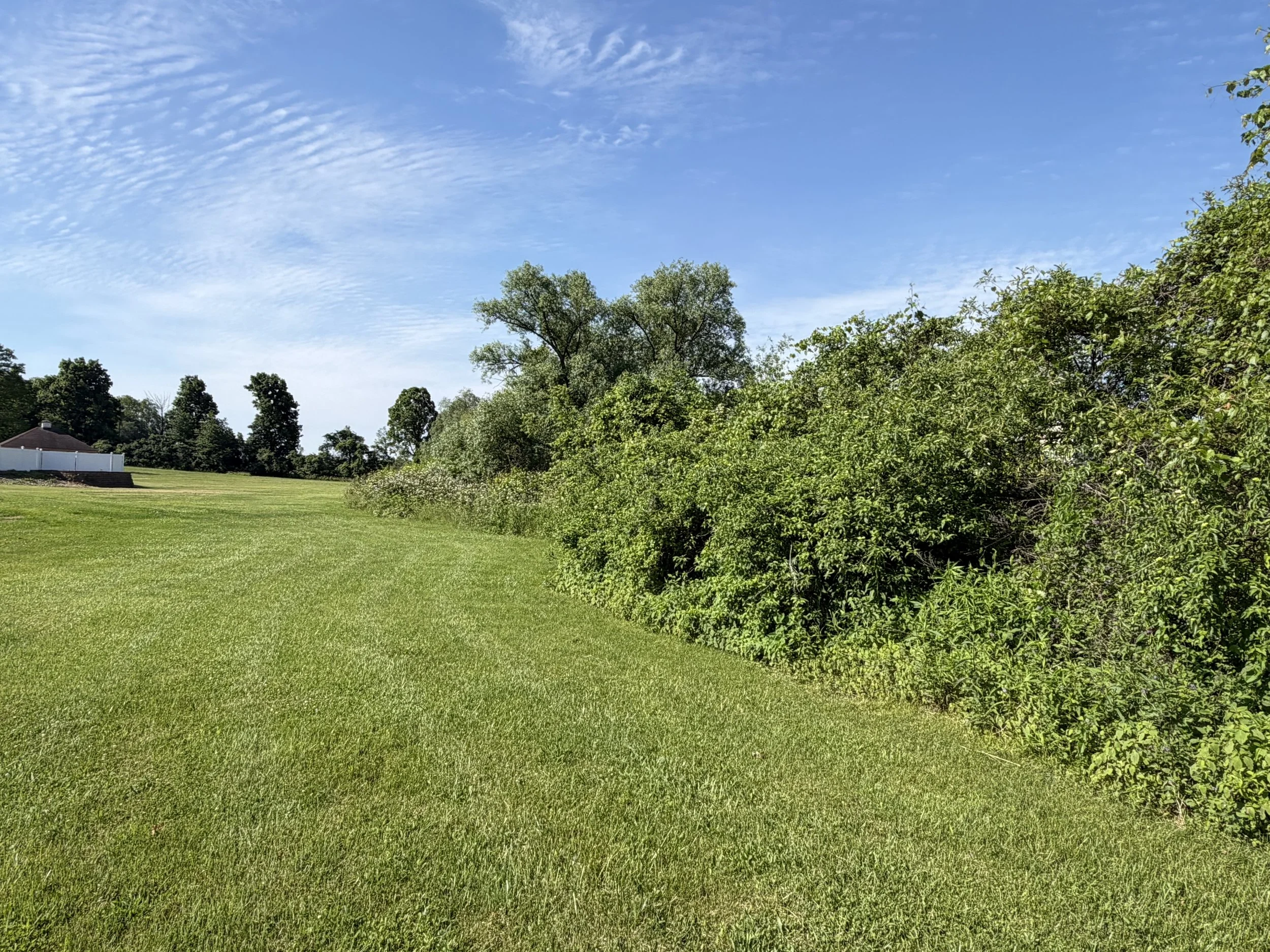A bright, clear sky above a lush green park with trees and trimmed grass, with a house partially visible on the left.
