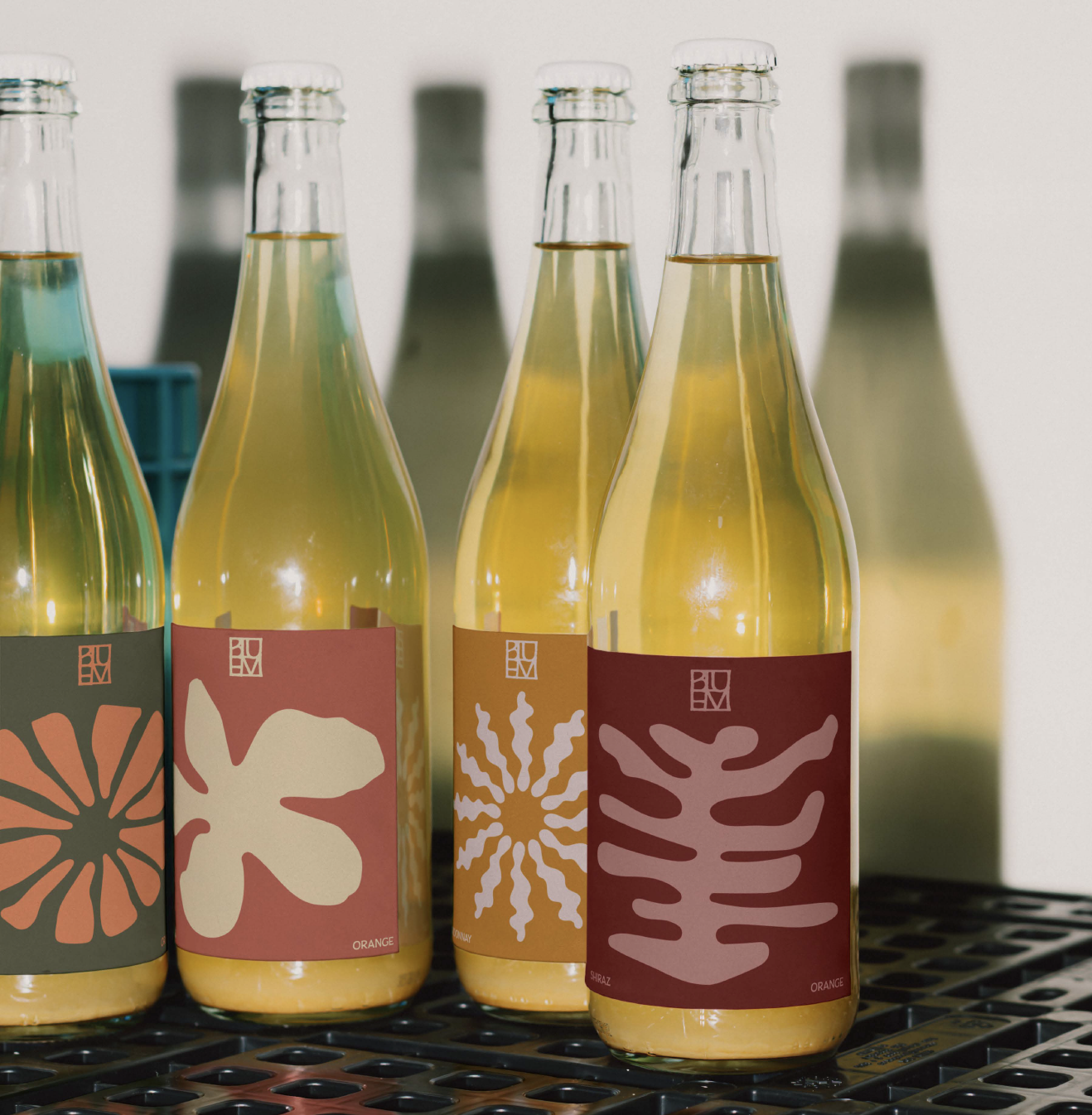 Screen Shot 2025-08-19 at 8.43.35 pm.png