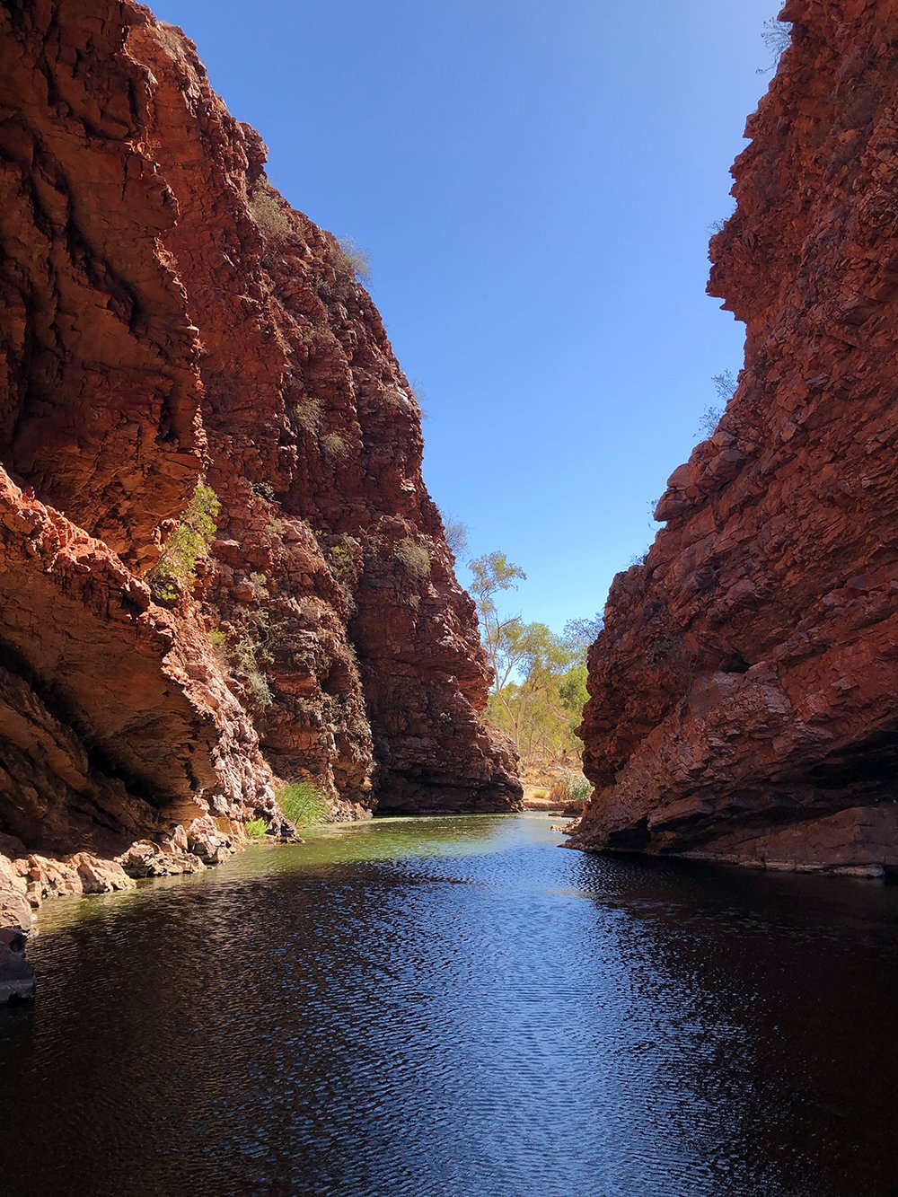 A narrow canyon with steep, reddish-brown rock walls and a flowing dark water creek under a clear blue sky with some sparse greenery and trees.