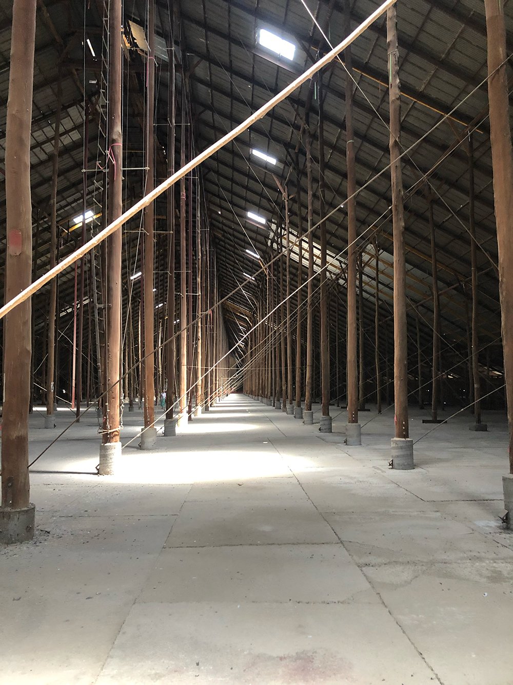Empty warehouse with wooden support beams, metal roof, and concrete floor, with sunlight filtering through the ceiling.