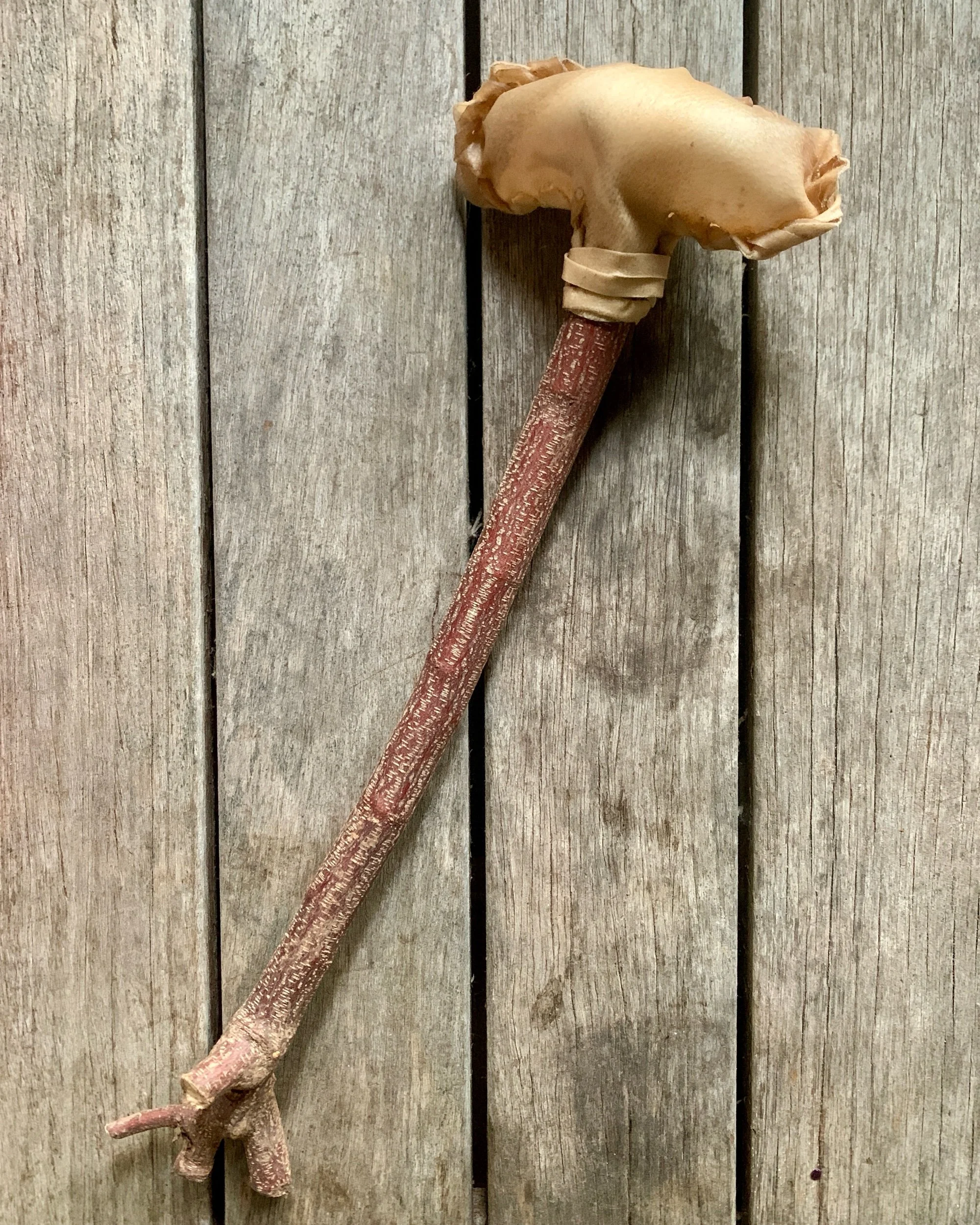 Natural Goat Hide Rattle