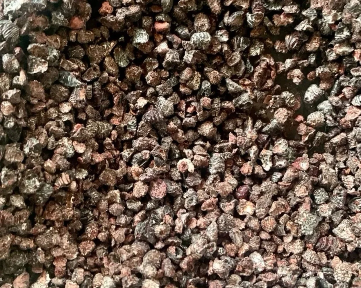 What is Cochineal Dye