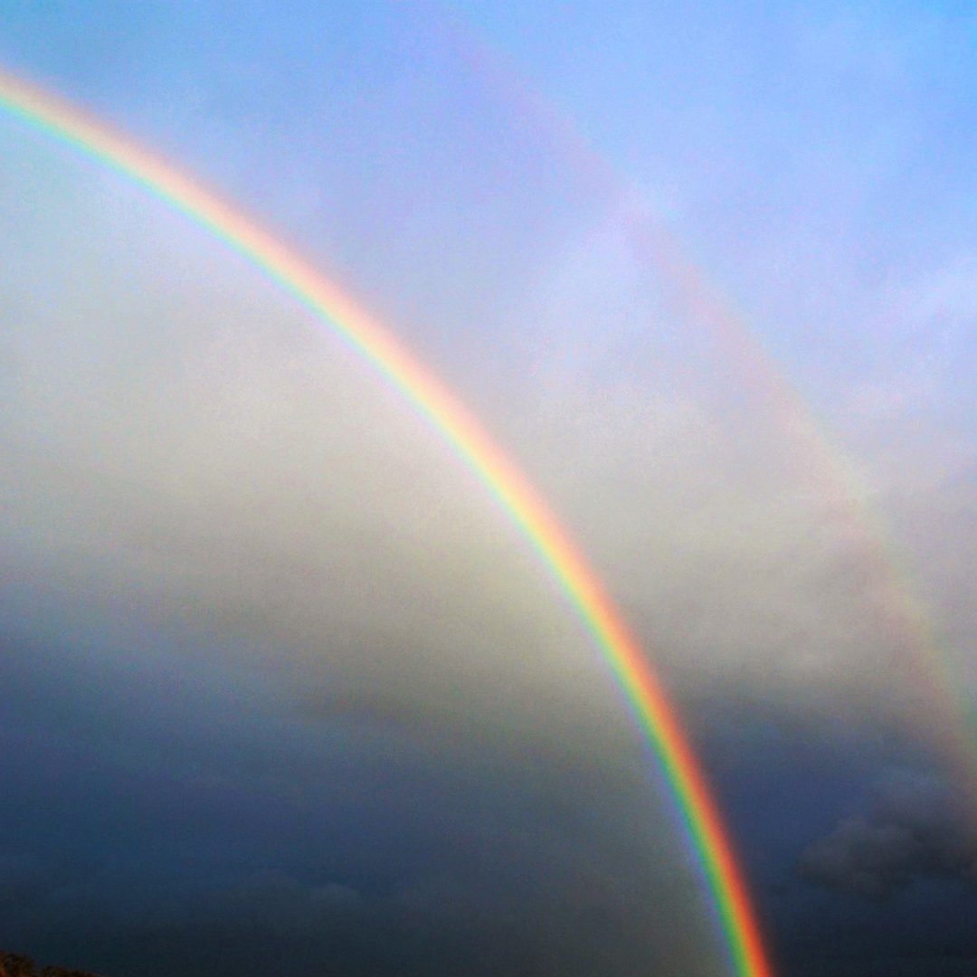 What Are the Reiki Precepts