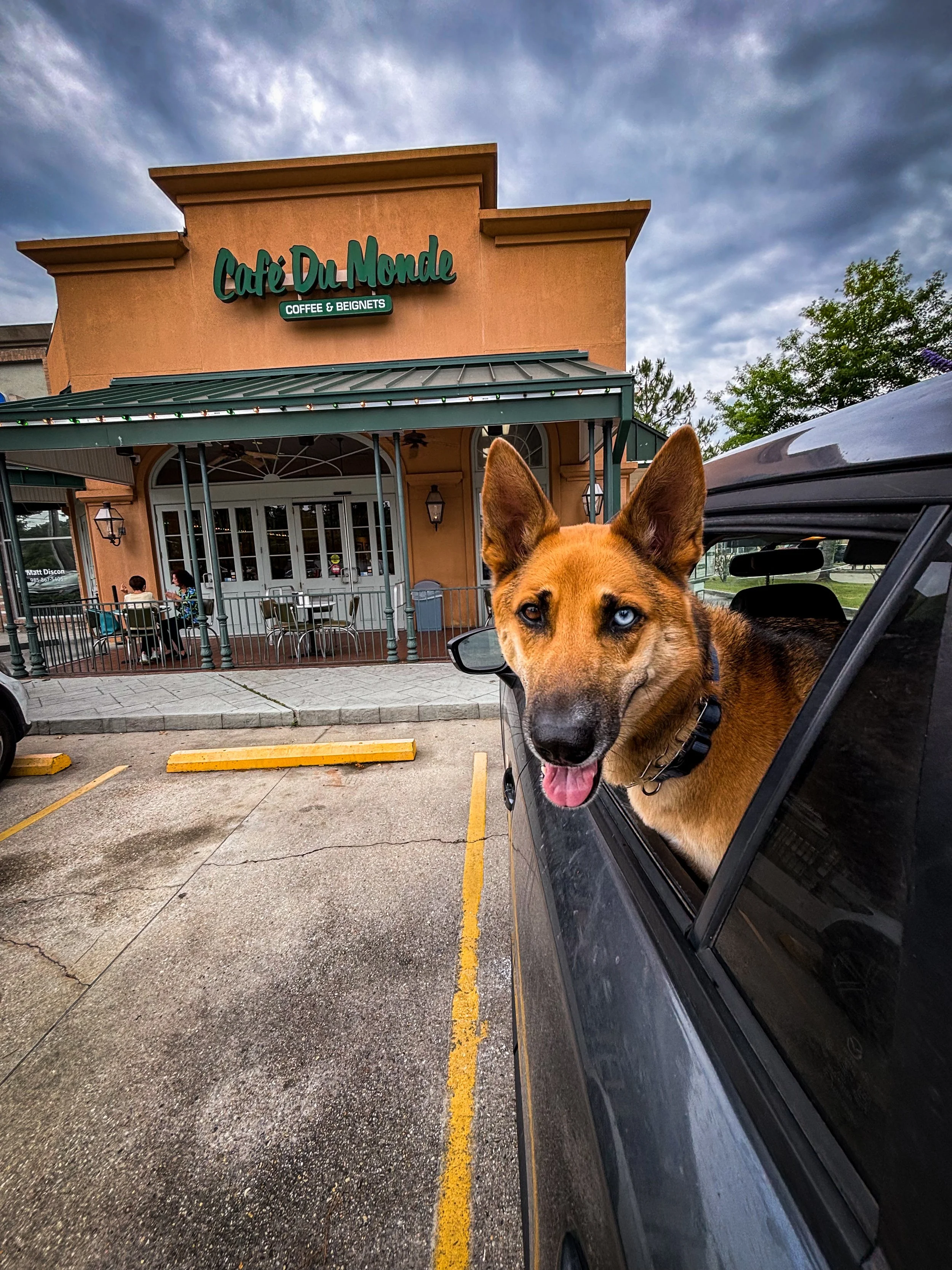 Powdered Faith at Cafe’ Du Monde