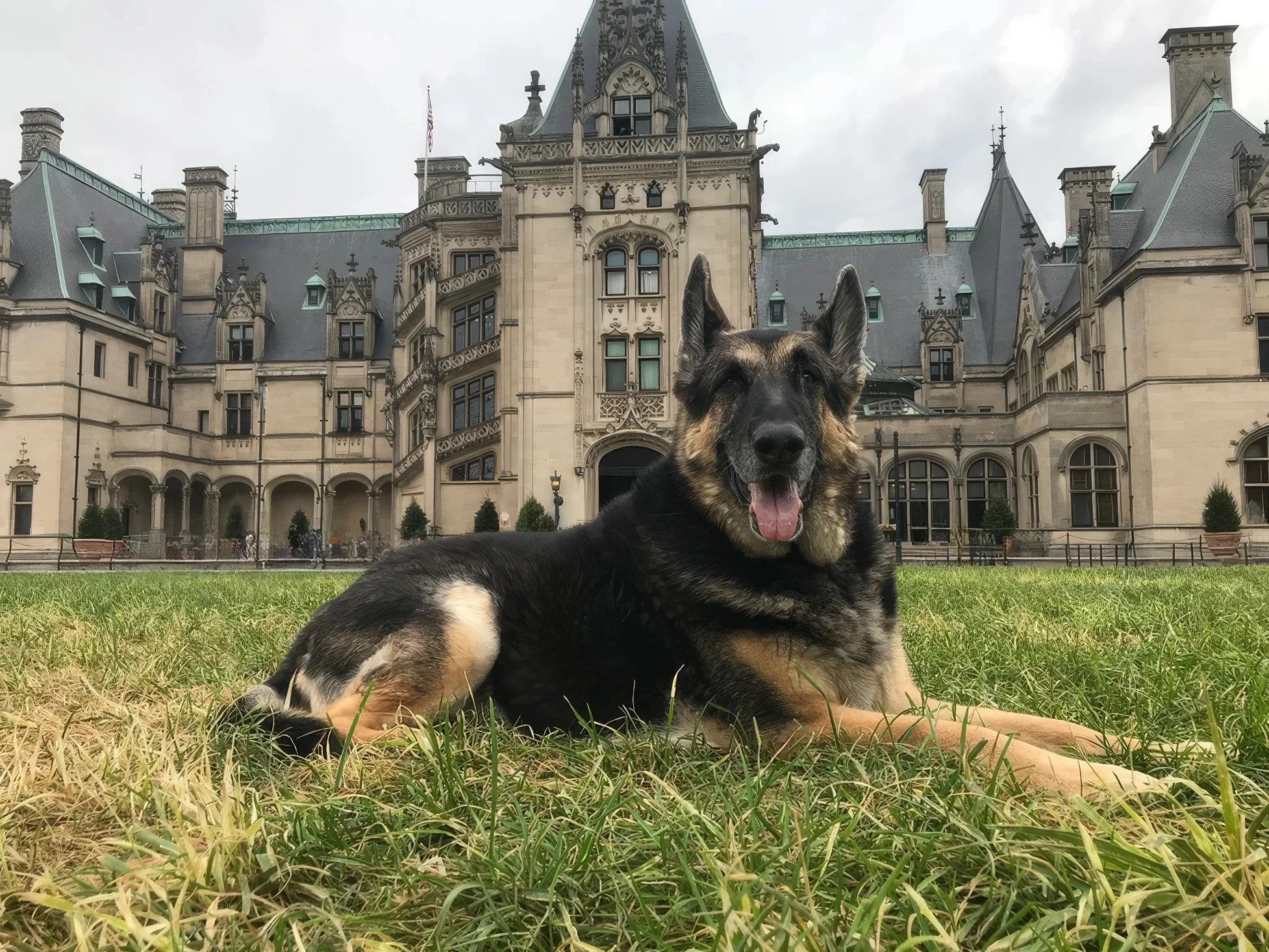 When Karma came to the Biltmore Mansion