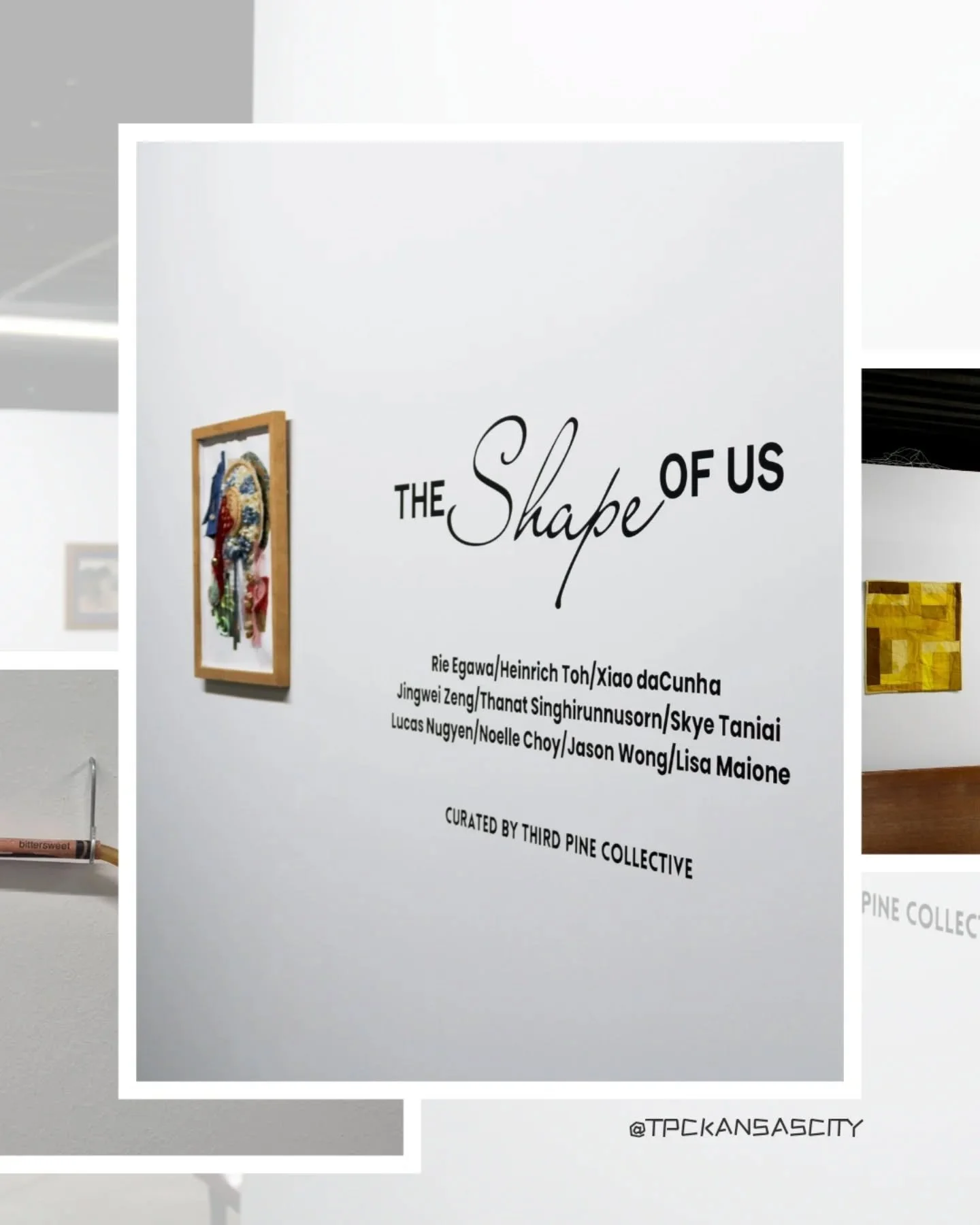 Come see The Shape of Us, a Third Pine Collective&trade;️ at @itsthewaitingroom in the hallway,
and Solutions by @zakgorsuch in the main gallery. Both exhibitions run through Friday, April 17. 

Participating artist in TSoU:
@lisajmaione 
@soyeahill 