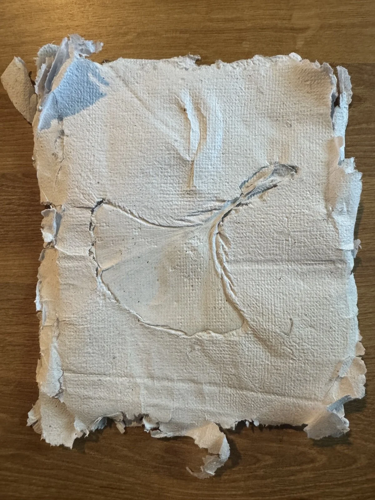June 27: Papermaking Workshop — Third Pine Collective