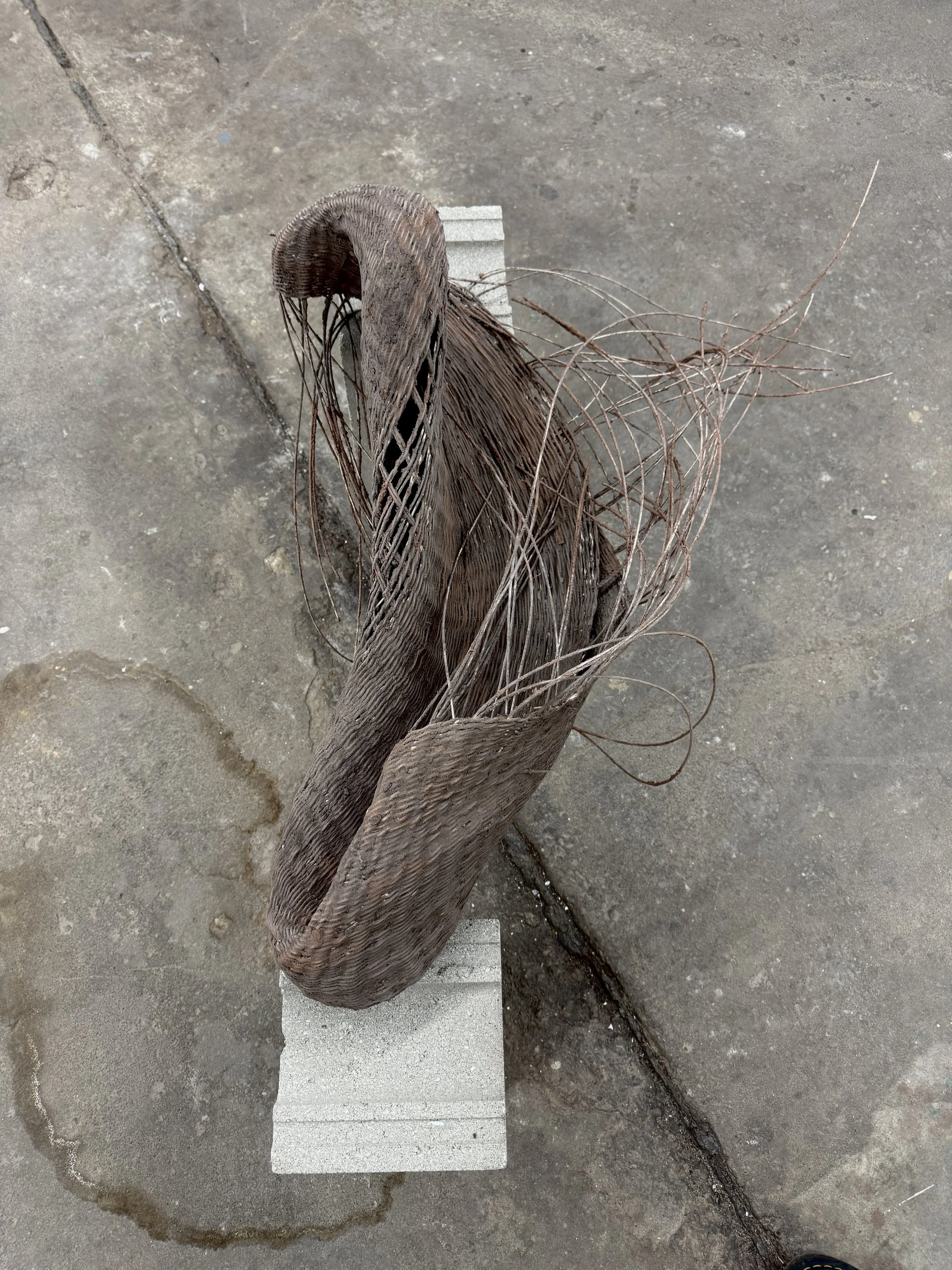 Vestibule – Yasi Farah